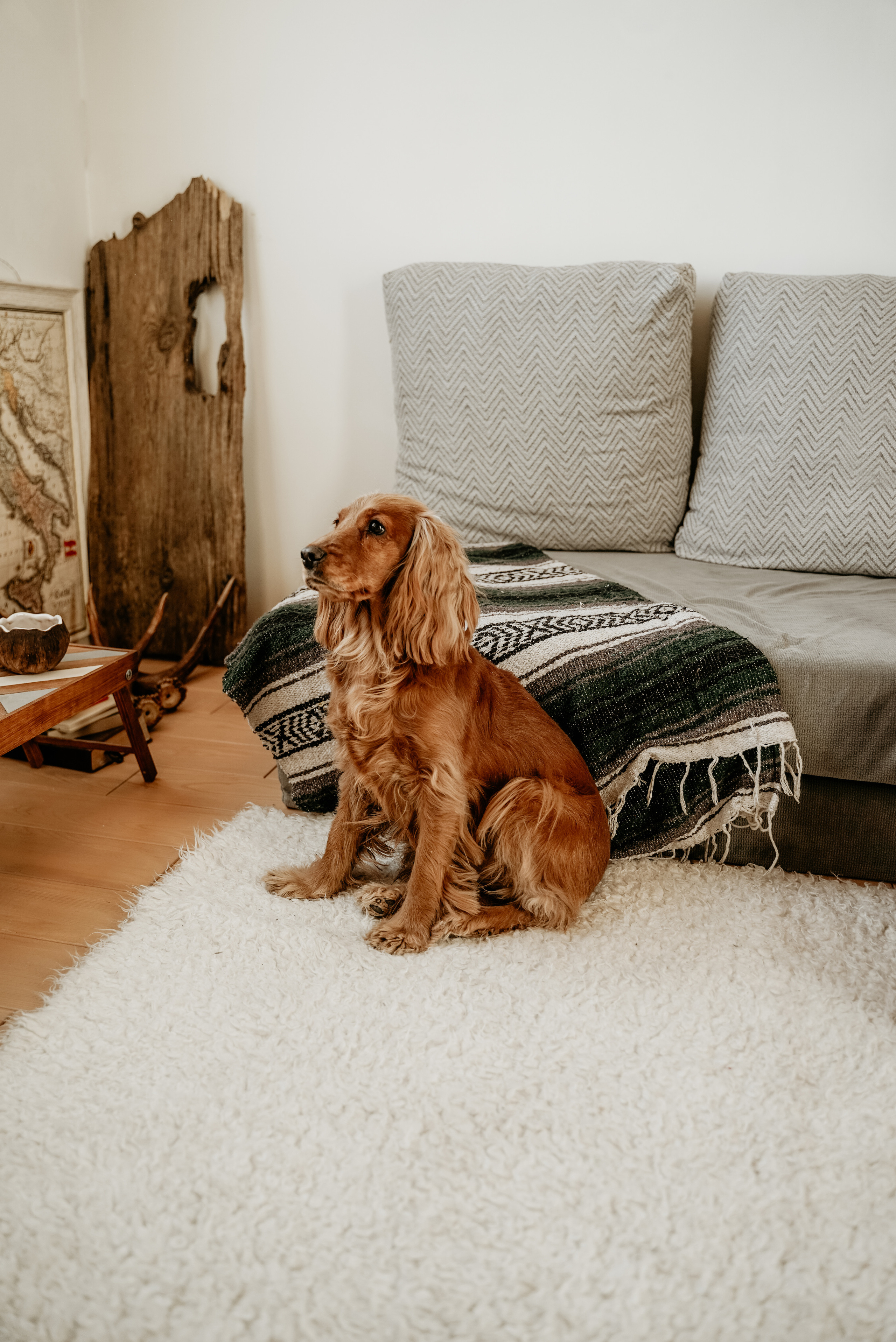 Love Story. Фотограф Екатерина Ма-Ко-Е. Фото о тебе и для тебя