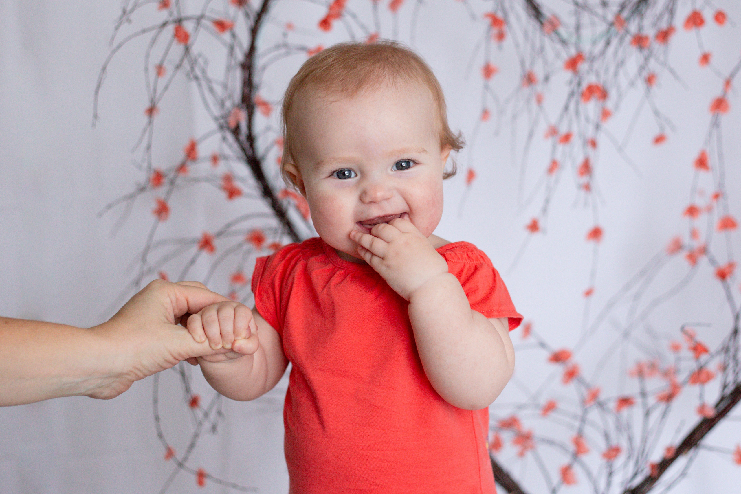 Сердце (14 февраля)