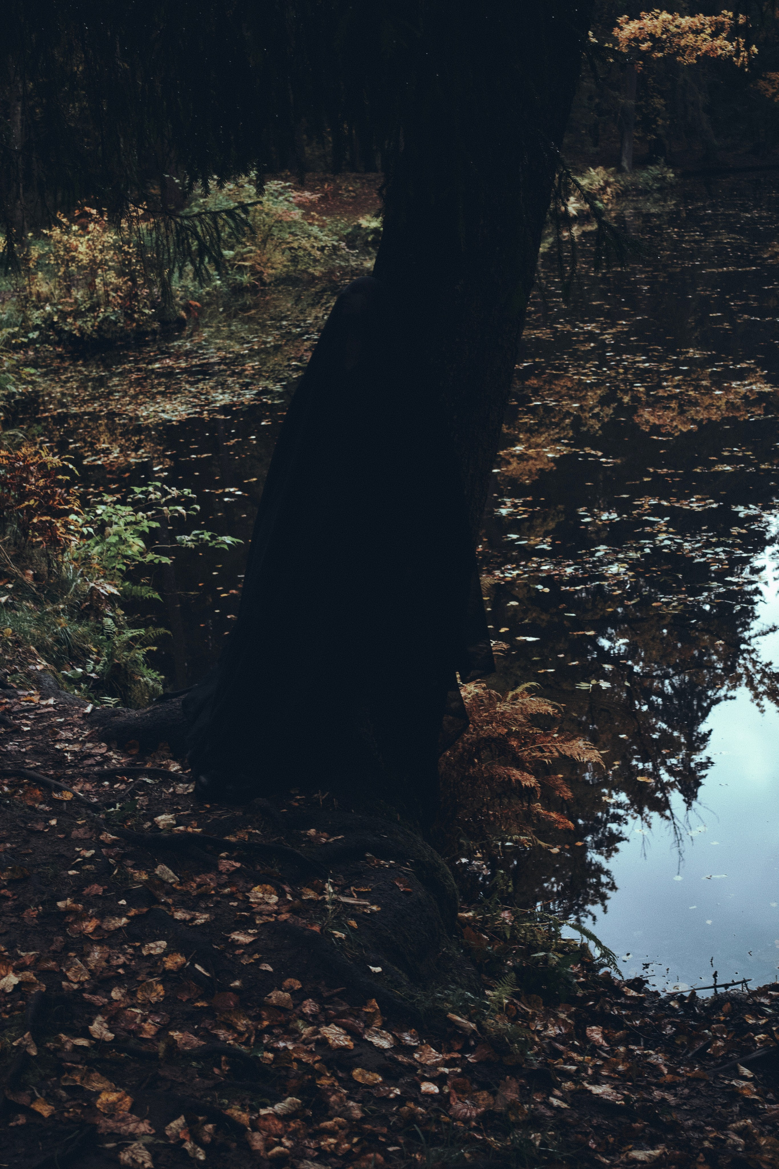 Где спит туман. Ваагн Малхасян | Фотограф | Санкт-Петербург. Создаю атмосферные кадры