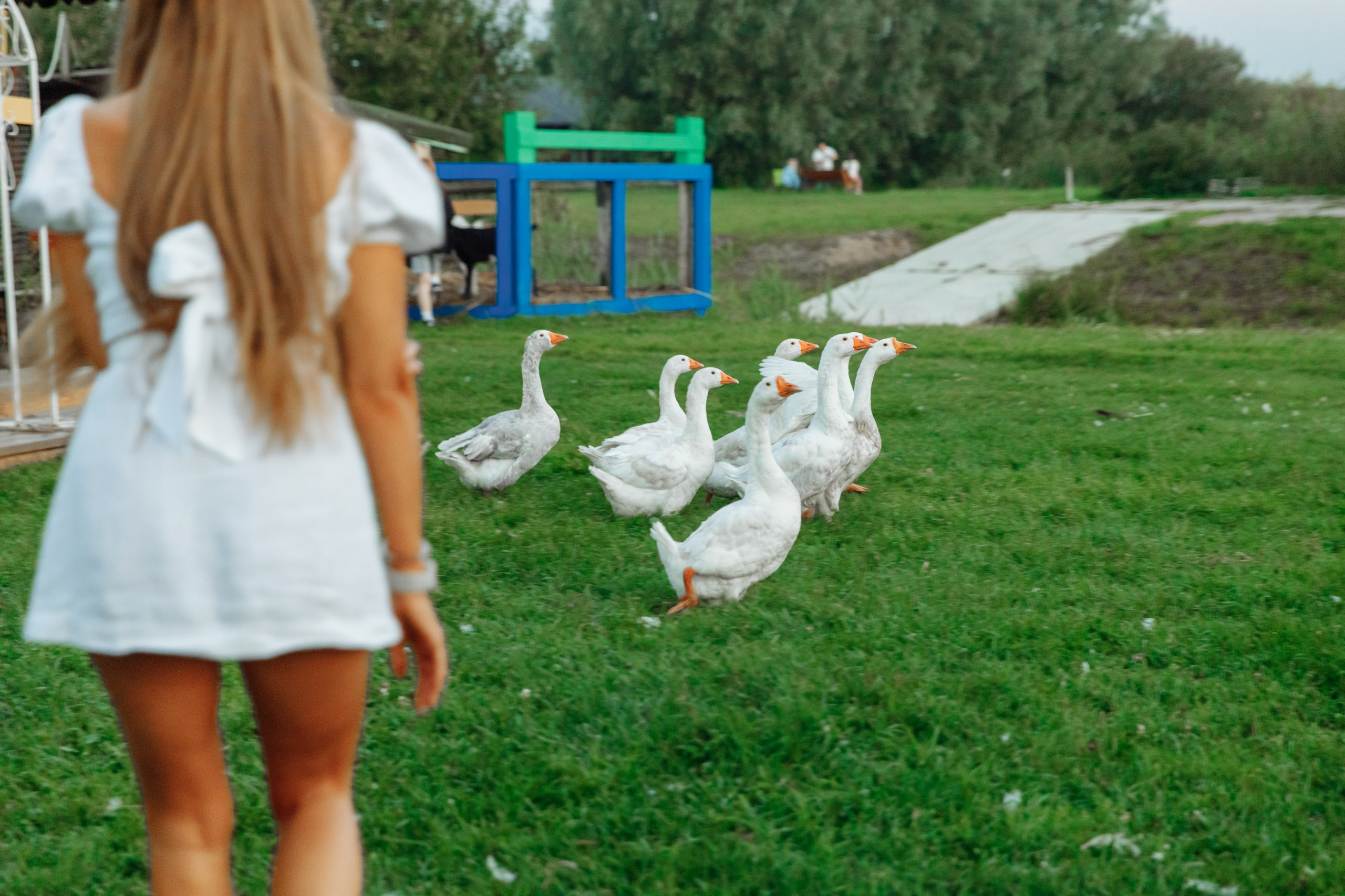 SUMMER. Motorkon. Свадебный фотограф в Ярославле Анастасия Архипова