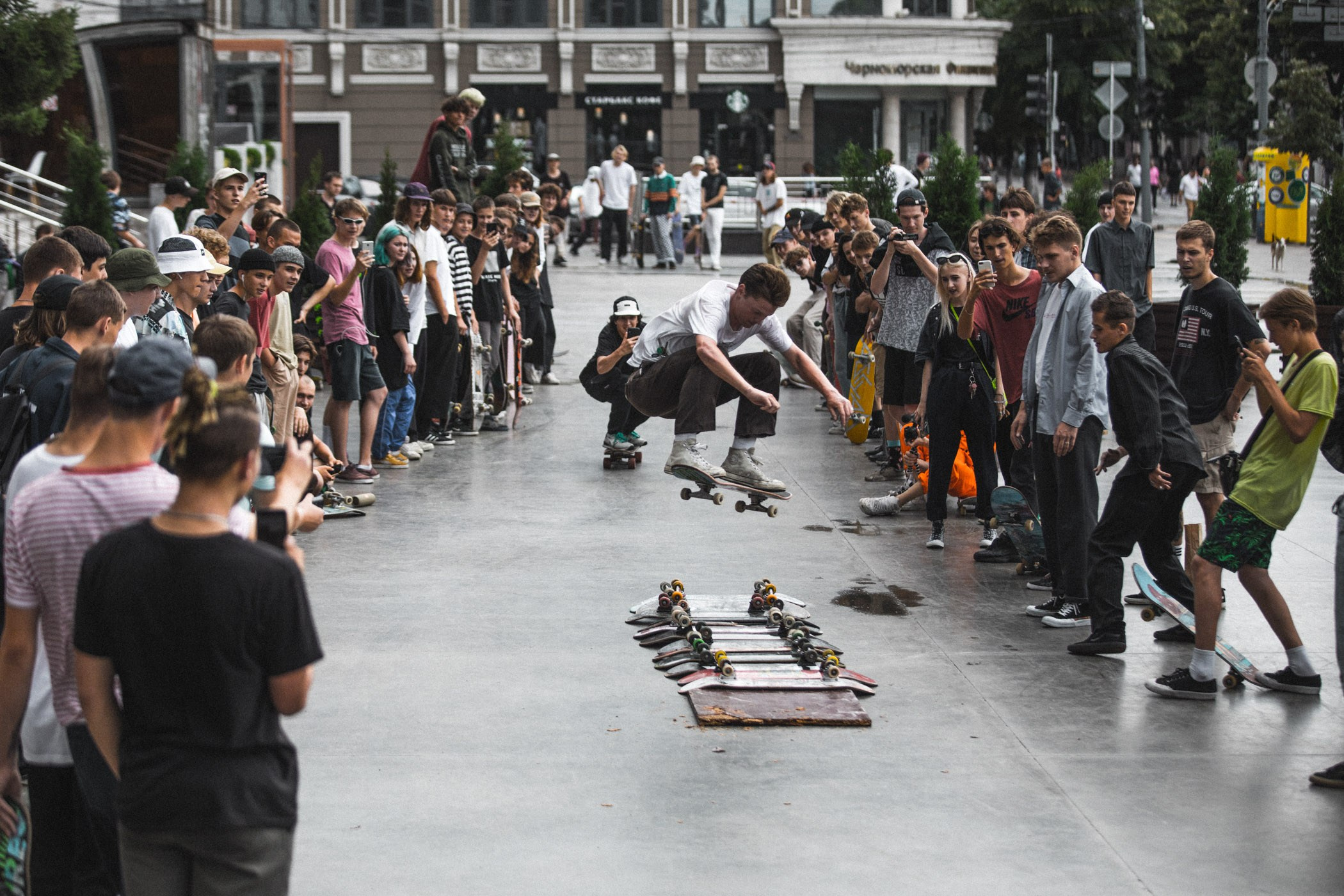 Lifestyle. Bivol images