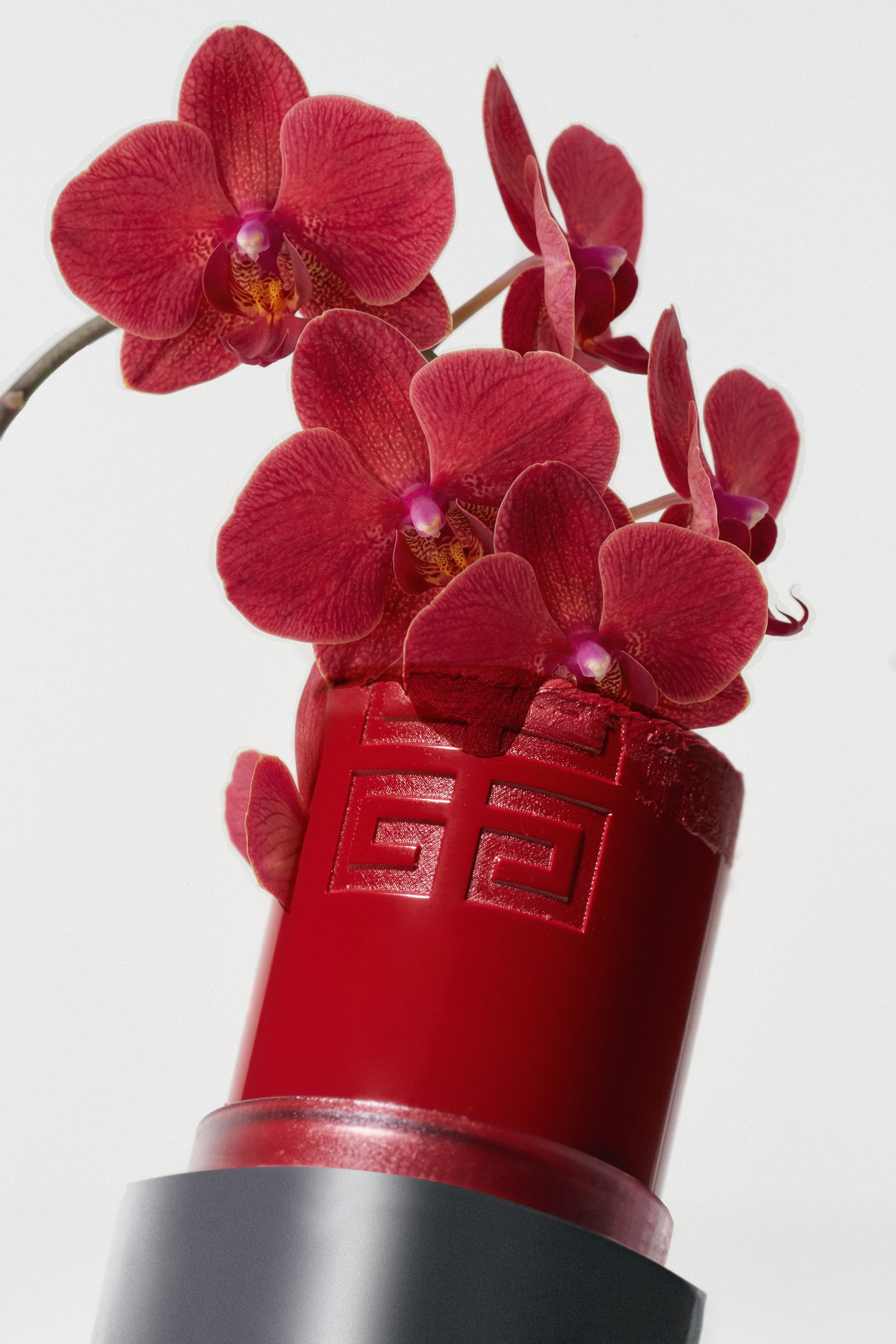 Beauty. Коммерческий фотограф в Санкт-Петербурге Виктория Усова