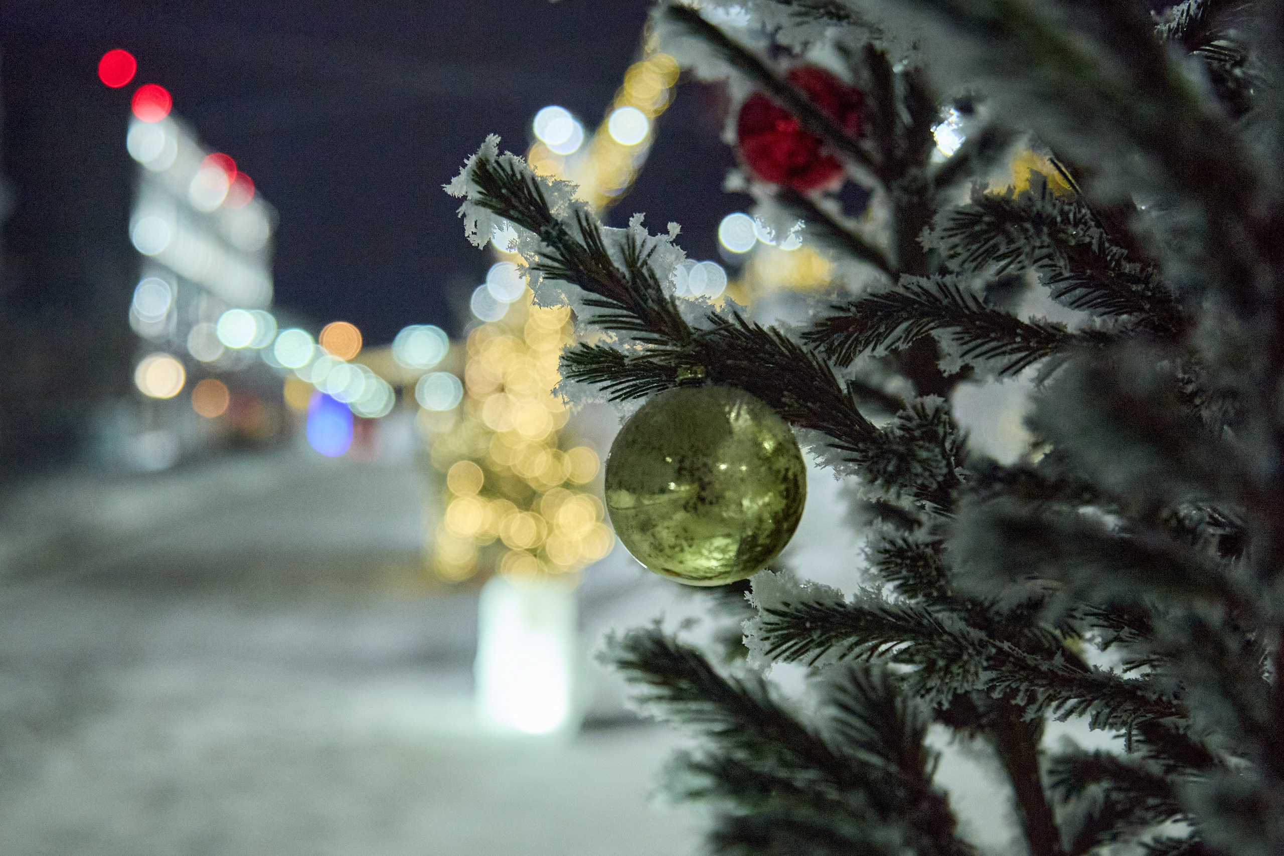 Новогодний Омск 2025. Фотограф Омск | Александр Вандеров