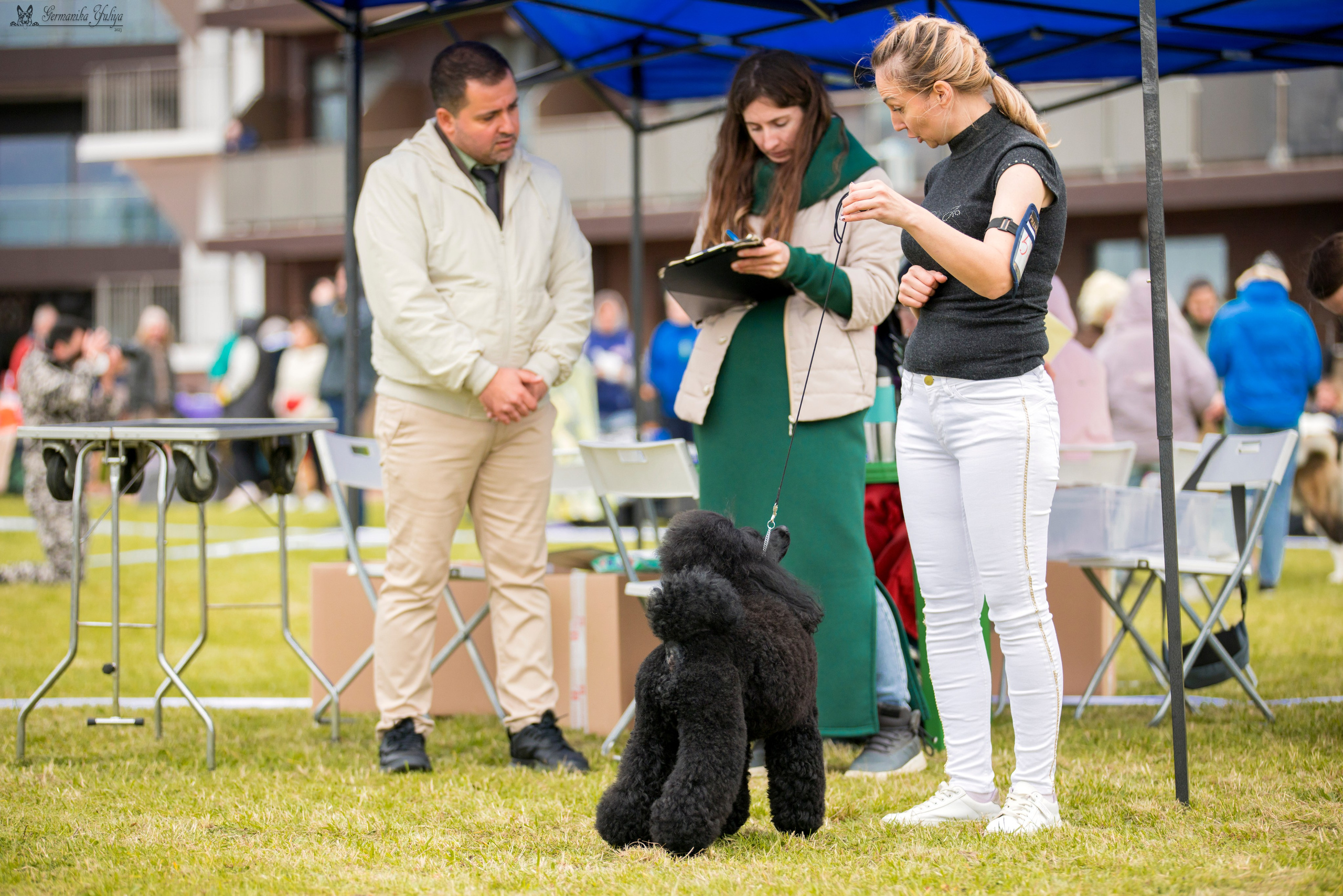 Переславль 9-10.09.2023. Фотограф-анималист Юлия Германика