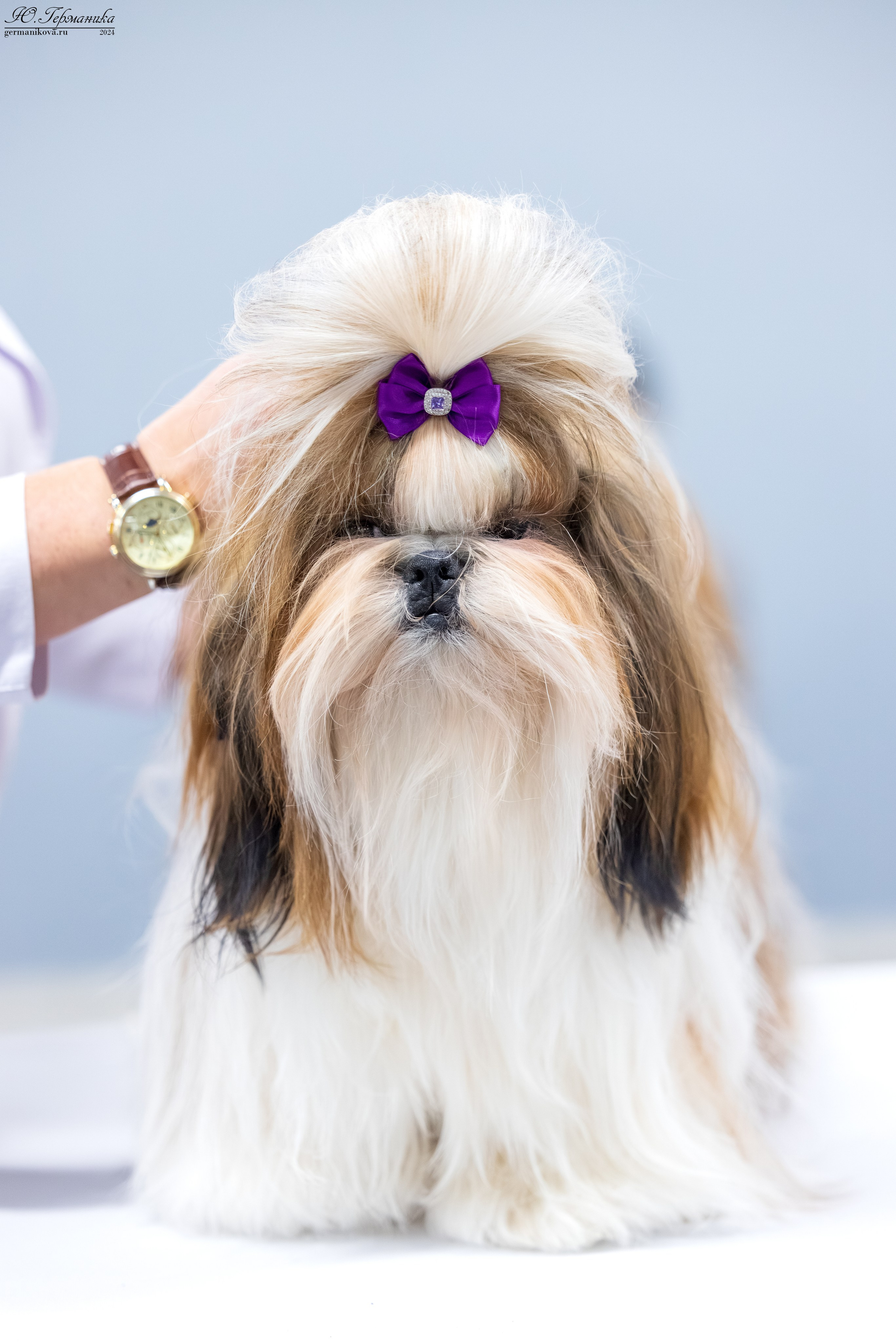 Сфера 17.03.2024. Фотограф-анималист Юлия Германика