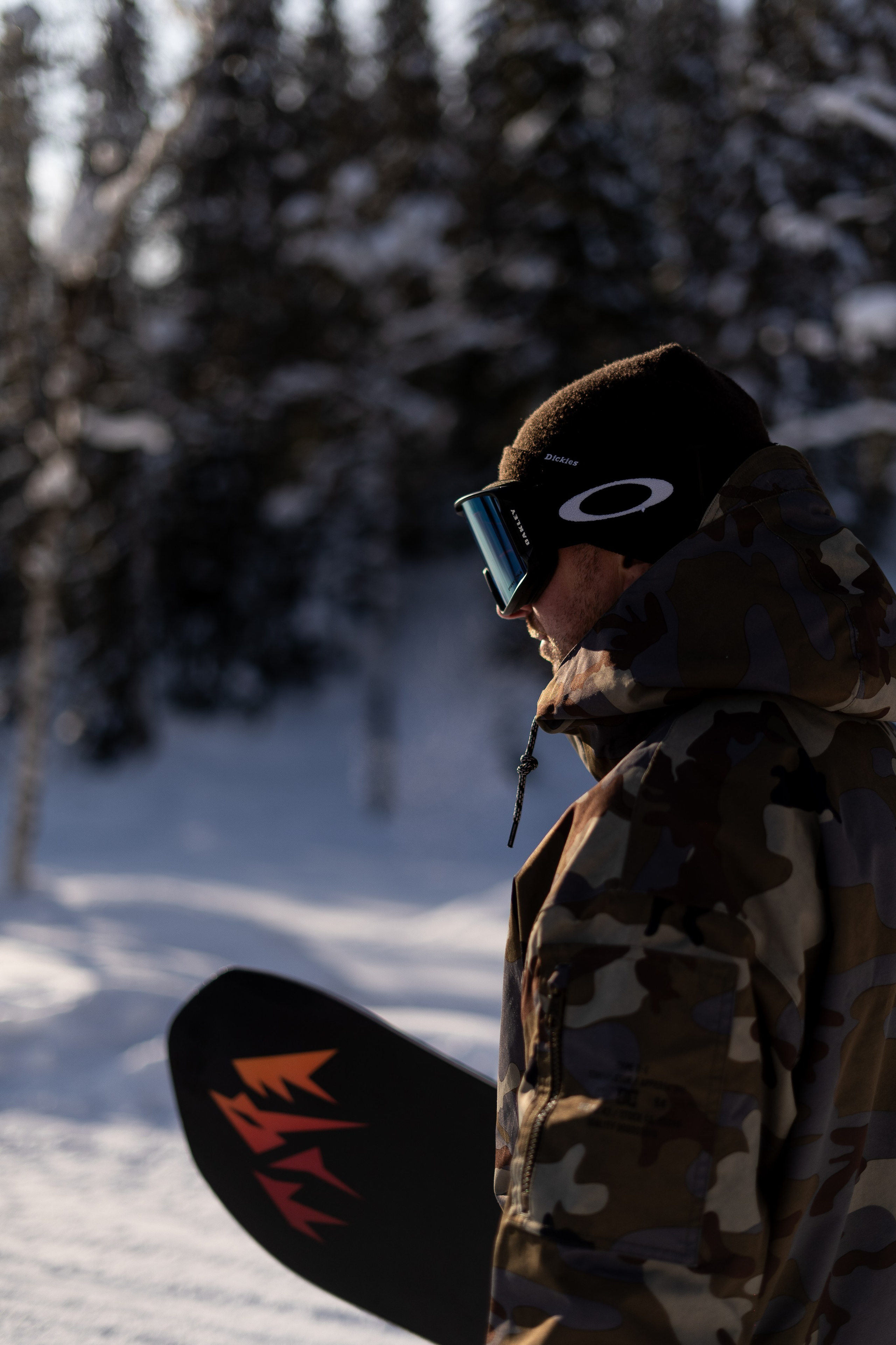 Джой 7.02. Анастасия Паршукова — фотограф Шерегеш Новосибирск