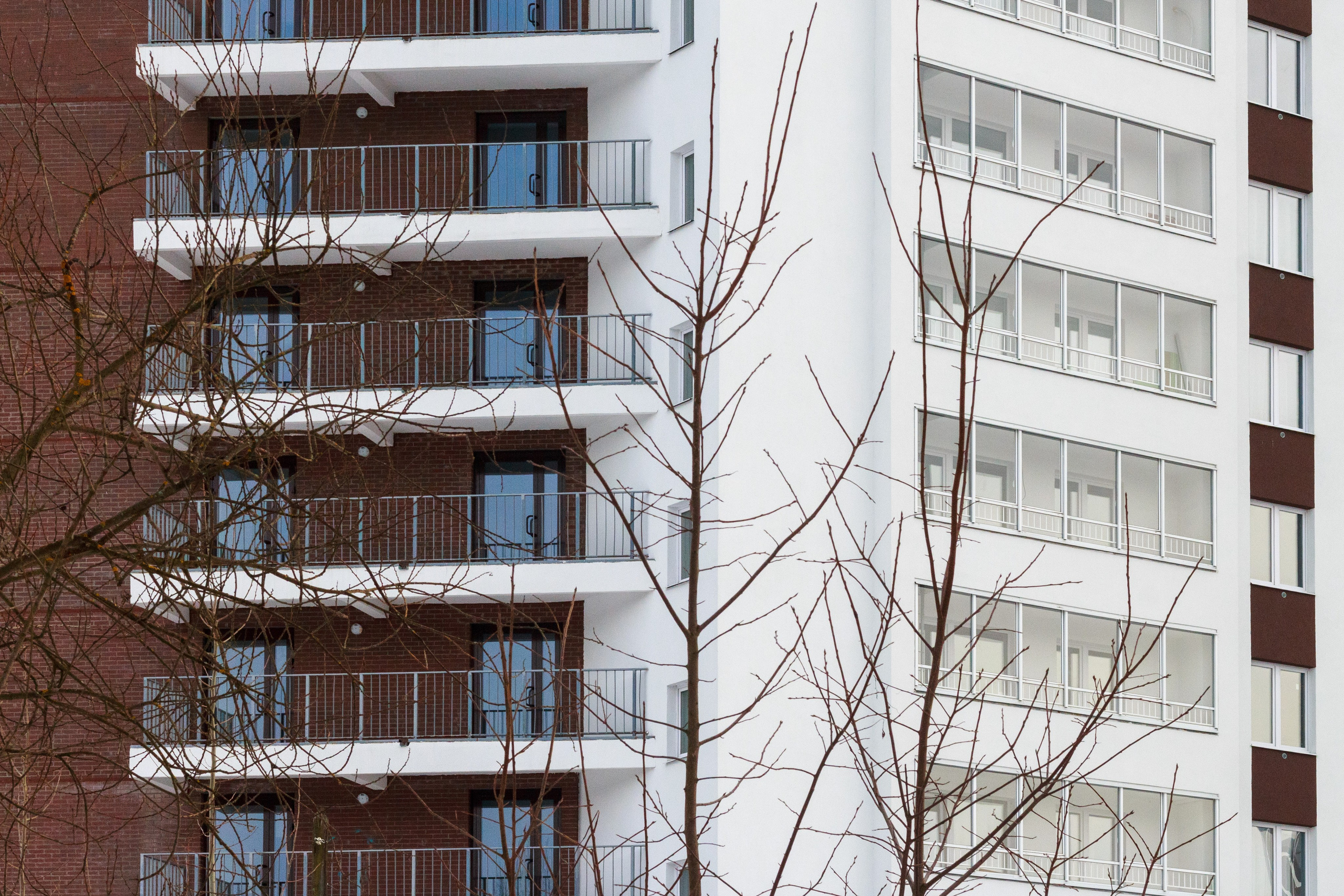 Родные узоры. Россия. Олег Романов. Мастер фото по спорту