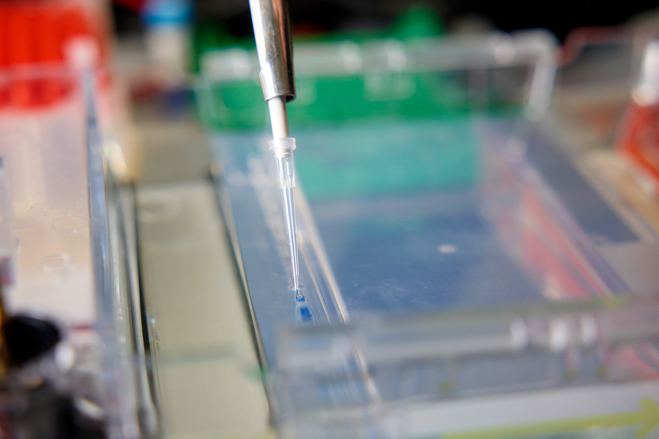 Тихоокеанская проектная школа 2025