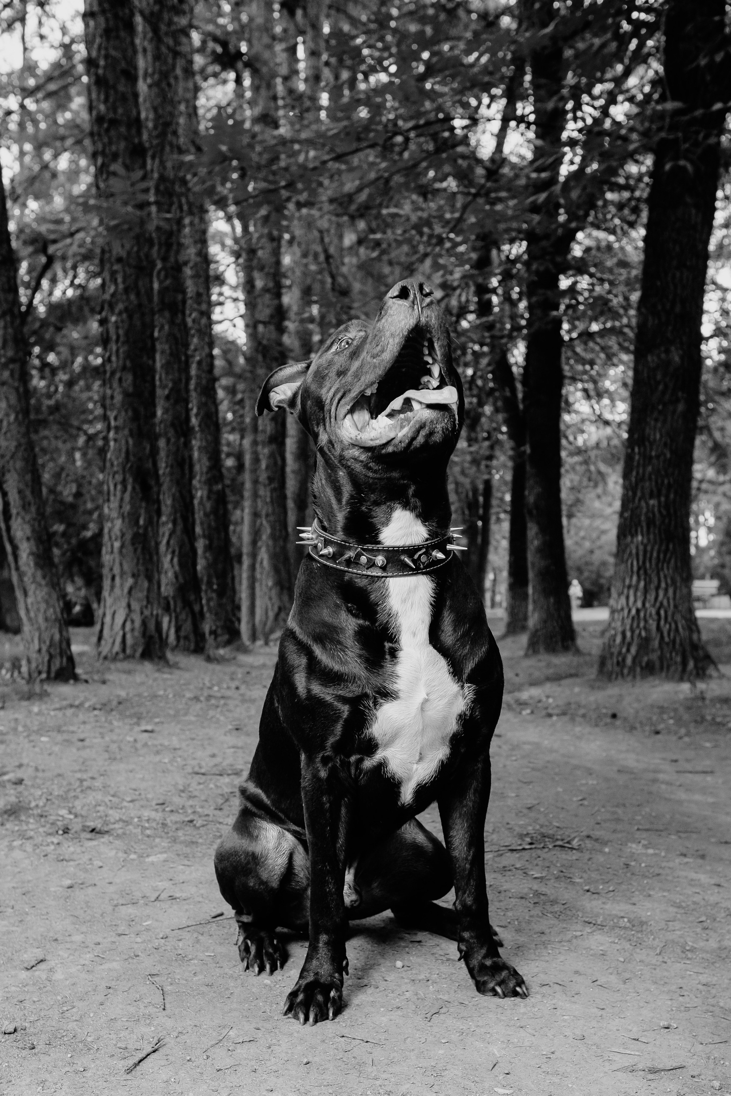 Шах. Репортажный и портретный фотограф в Екатеринбурге Гизатуллин Марат