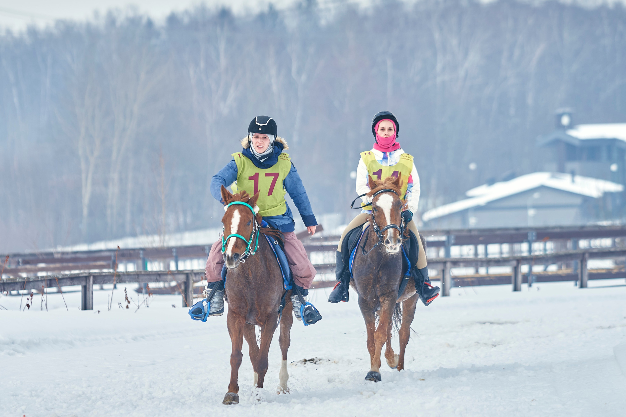 HORSE RACING. Фотограф Наталья Леонова
