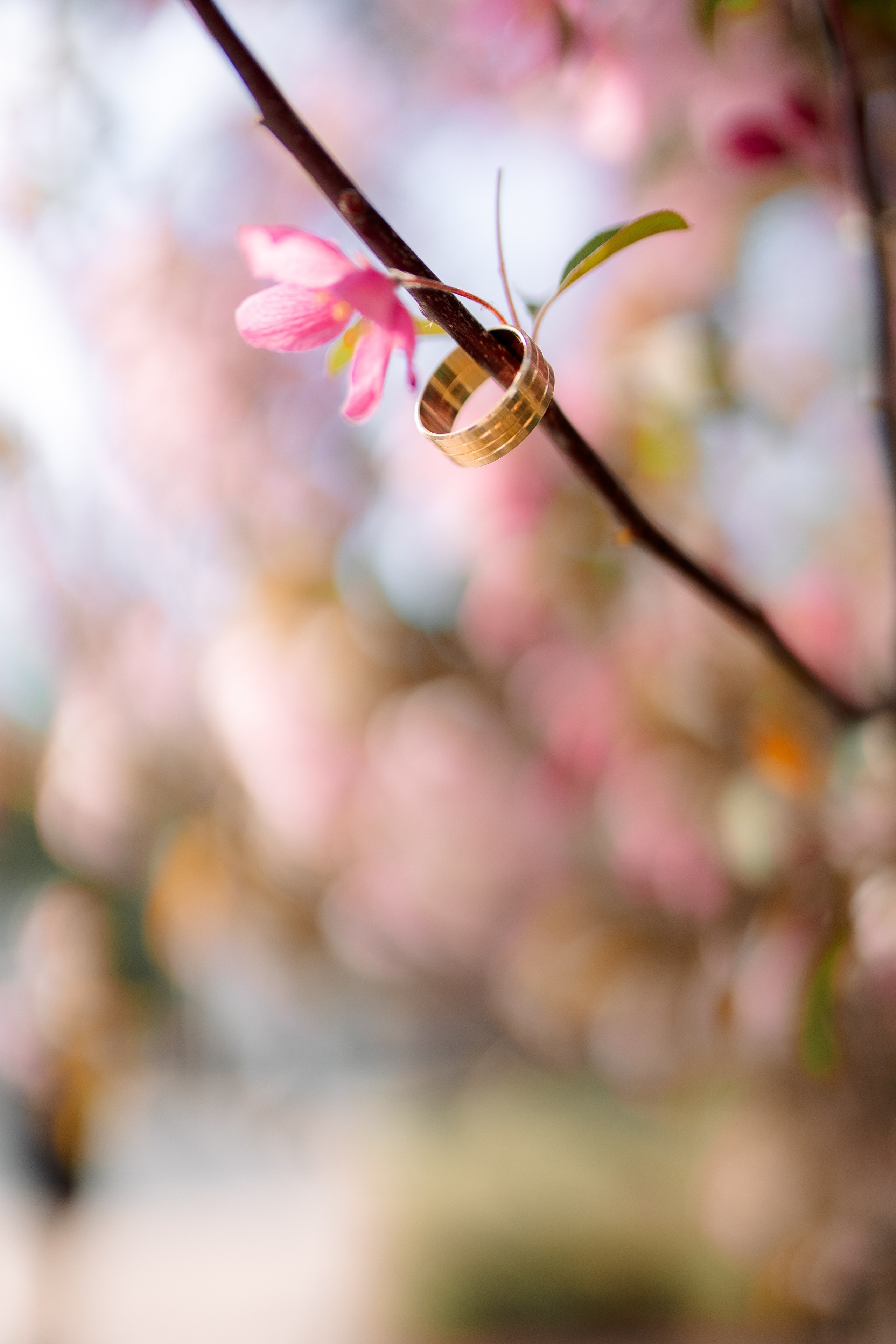 Парк. Фотограф Мария Зайчик