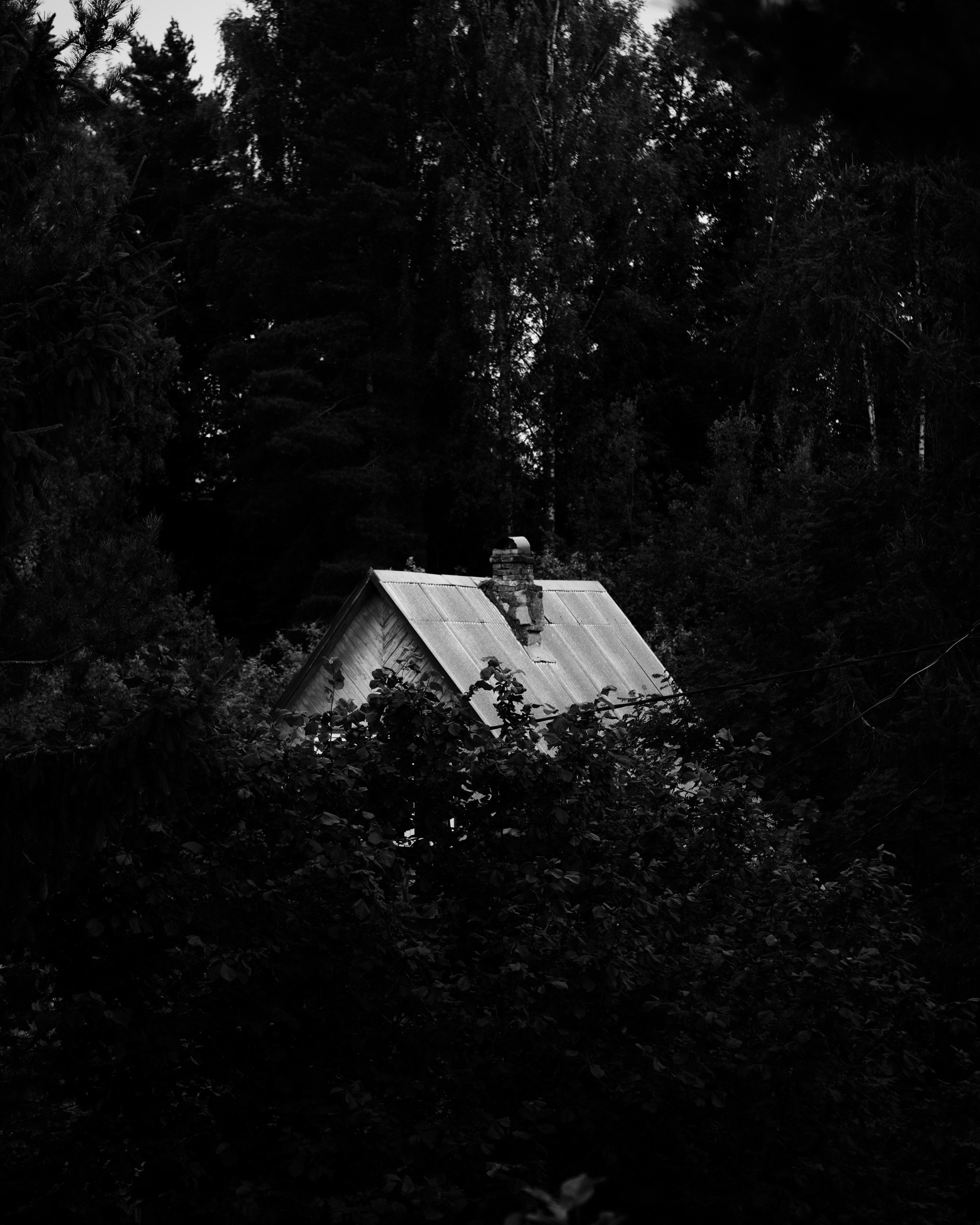 Природа. Фотограф Маргана Лоция