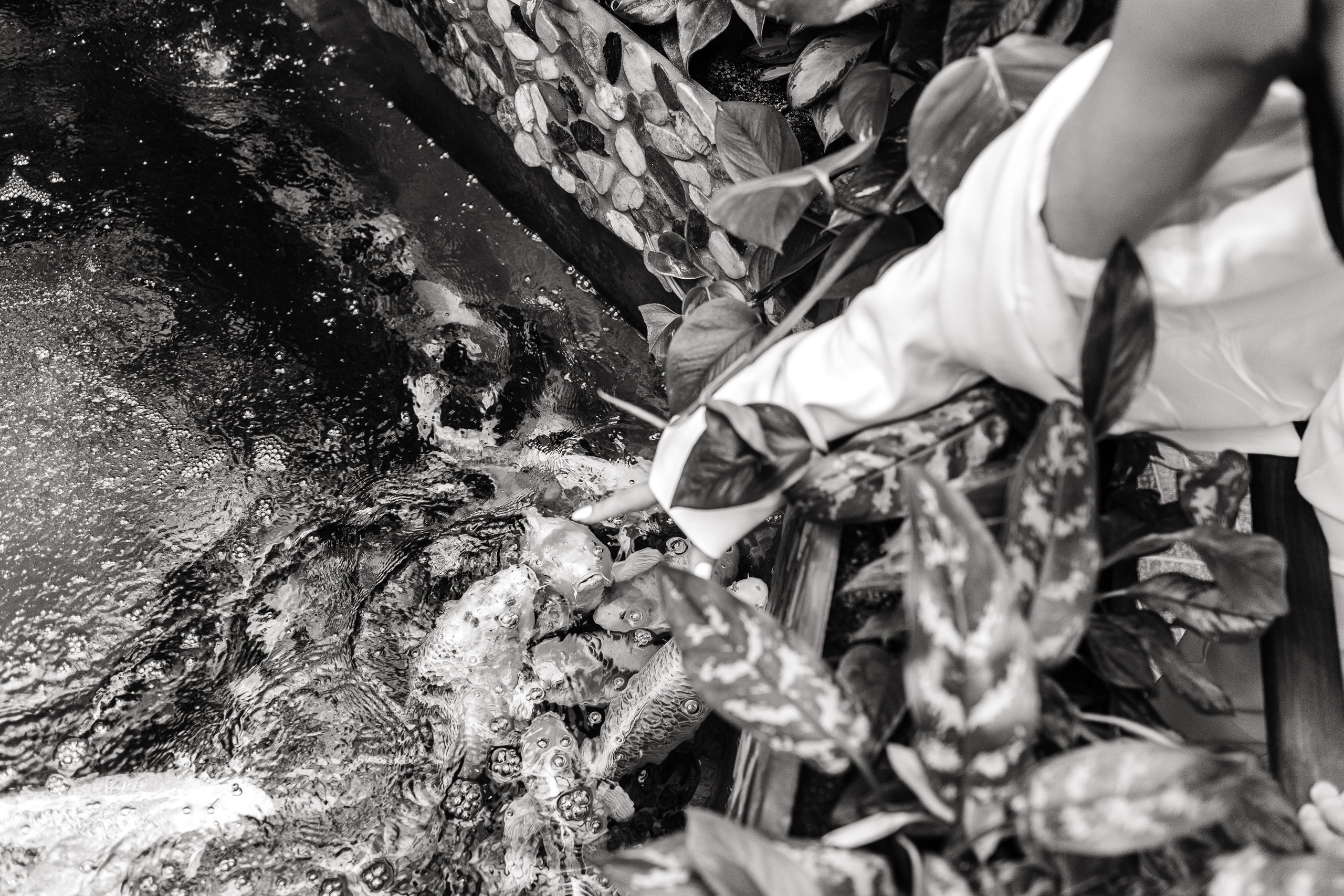 Yana & Yan. Свадебный фотограф Аня Милграм