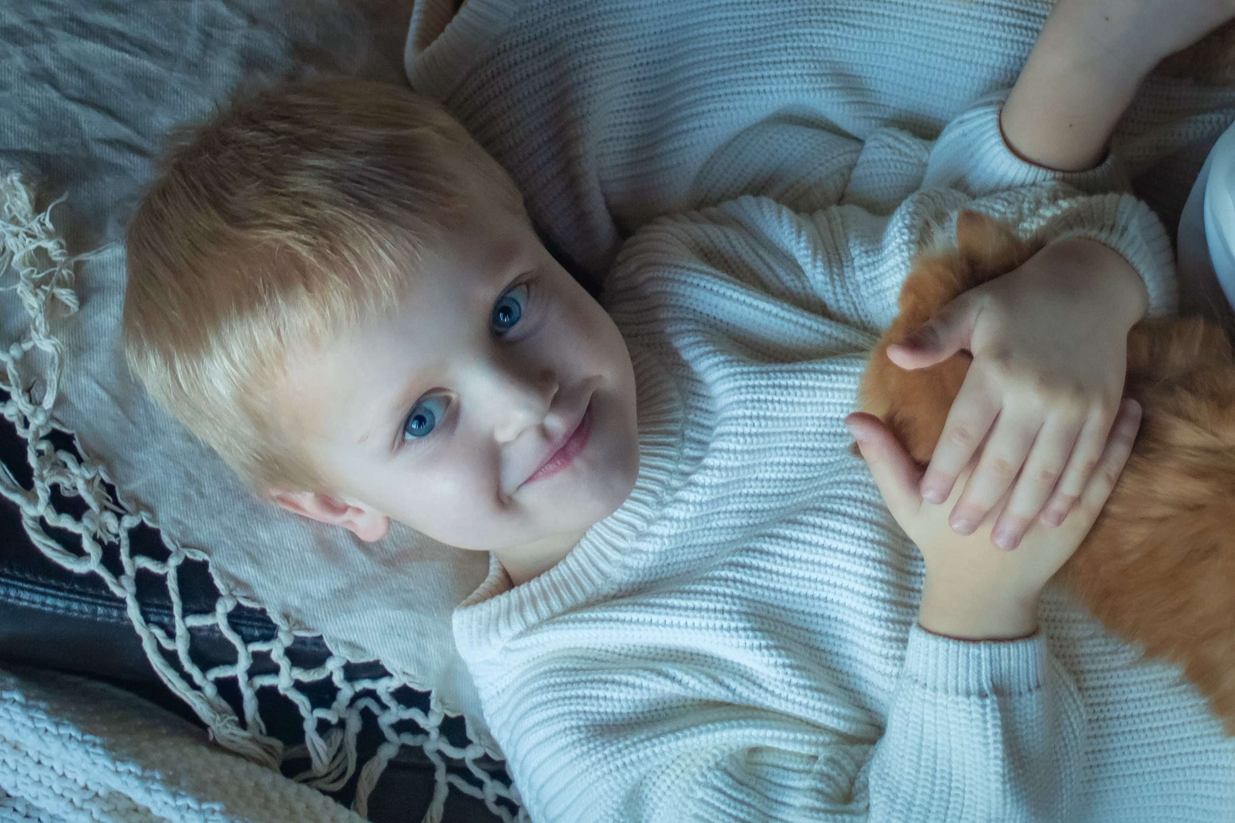 Детская фотосессия с котятками в студии в СПБ