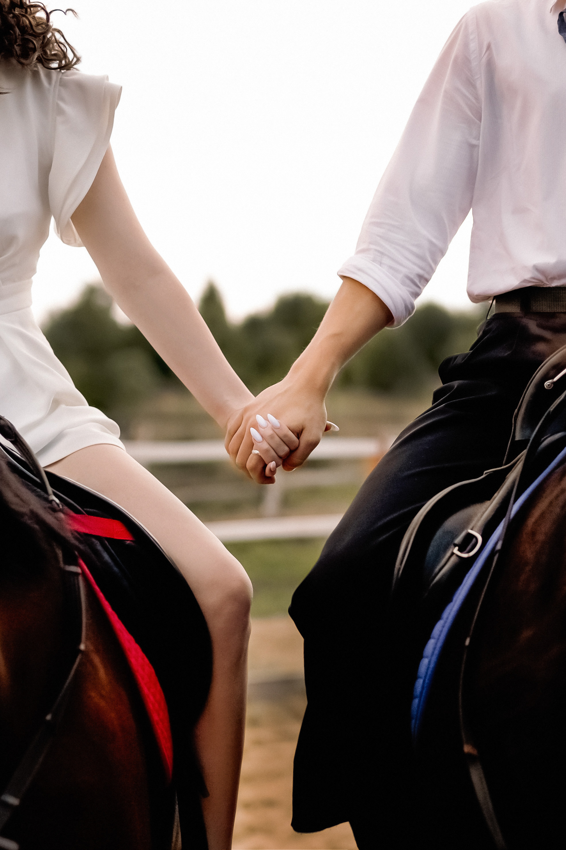 На конюшне. Фотограф и ретушер. (Армения/Россия)