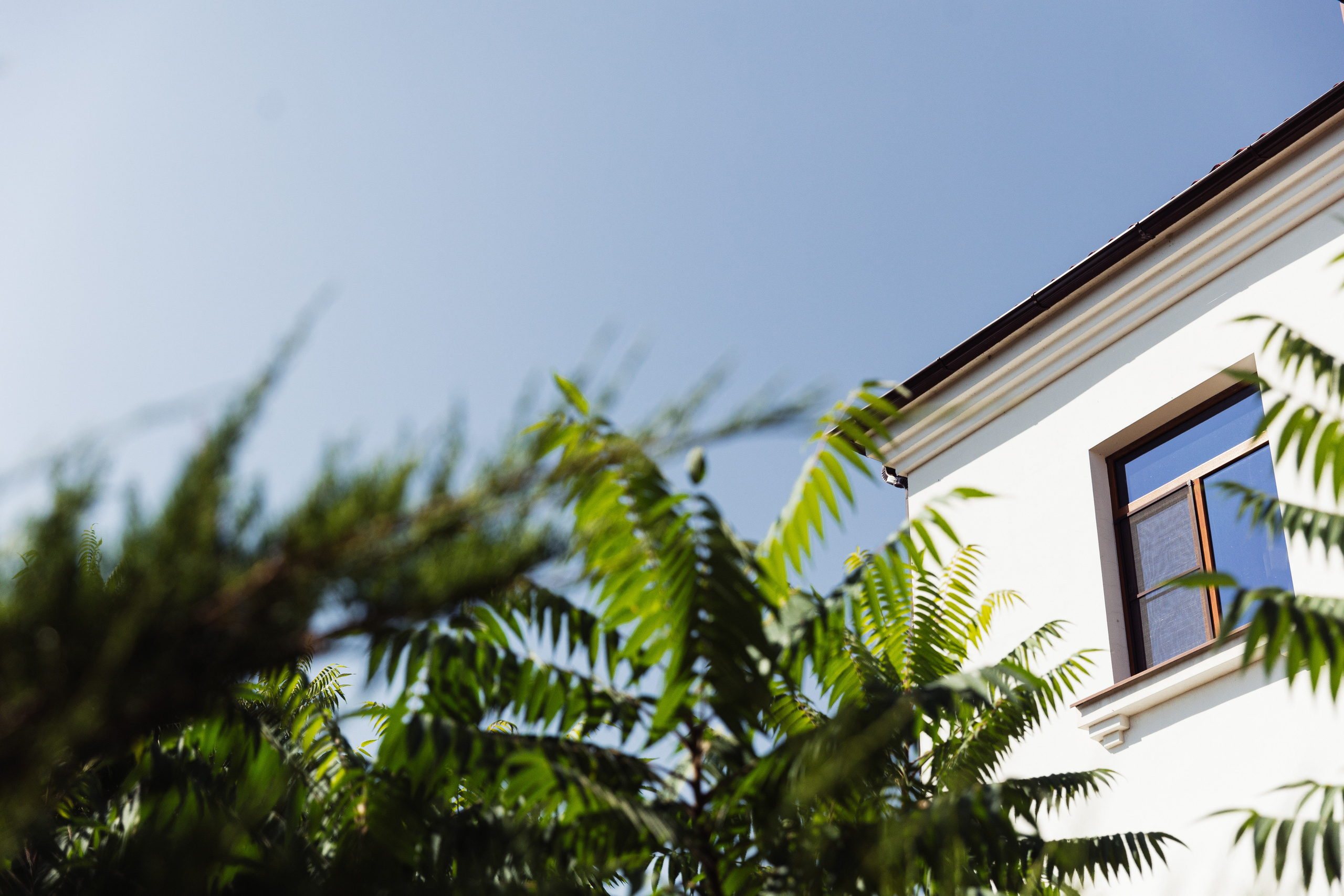 Макс и Тоня Лефкадия. Свадебный и семейный фотограф в Краснодаре Роман Моско