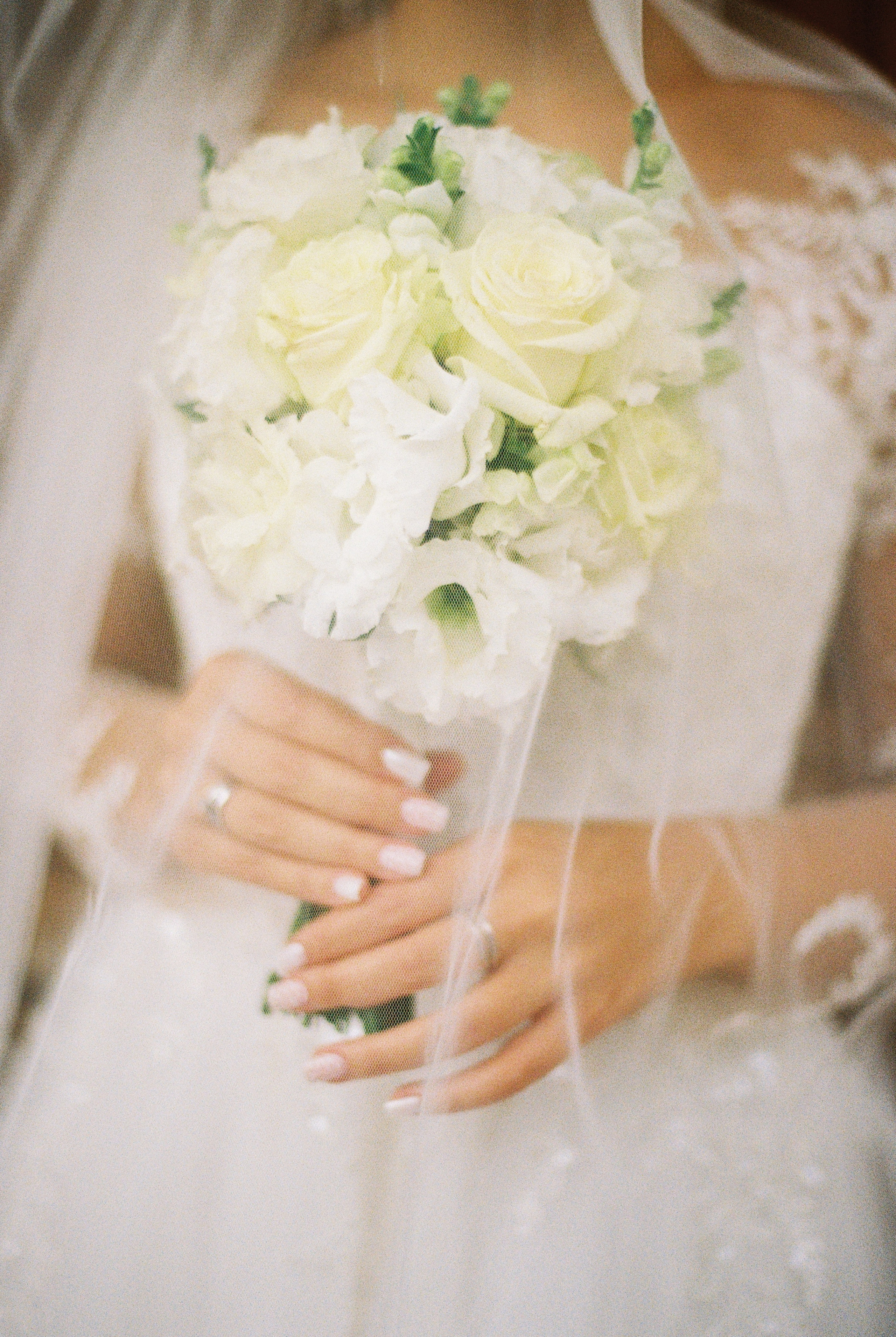 Плёнка. Свадебный и семейный фотограф в Краснодаре Роман Моско