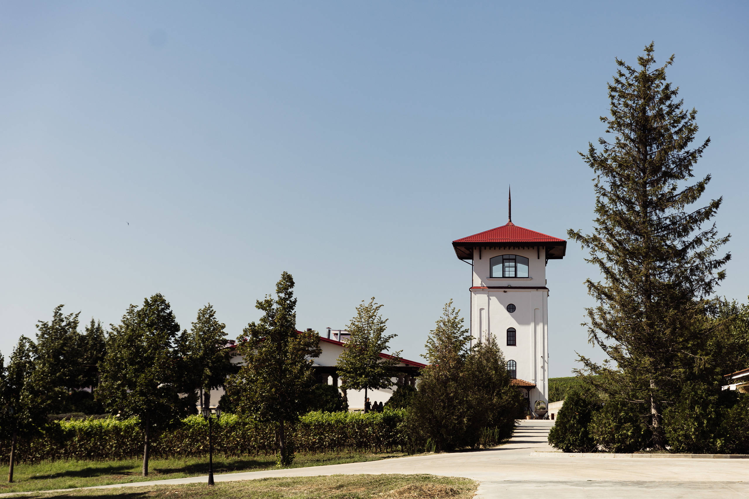 Макс и Тоня Лефкадия. Свадебный и семейный фотограф в Краснодаре Роман Моско