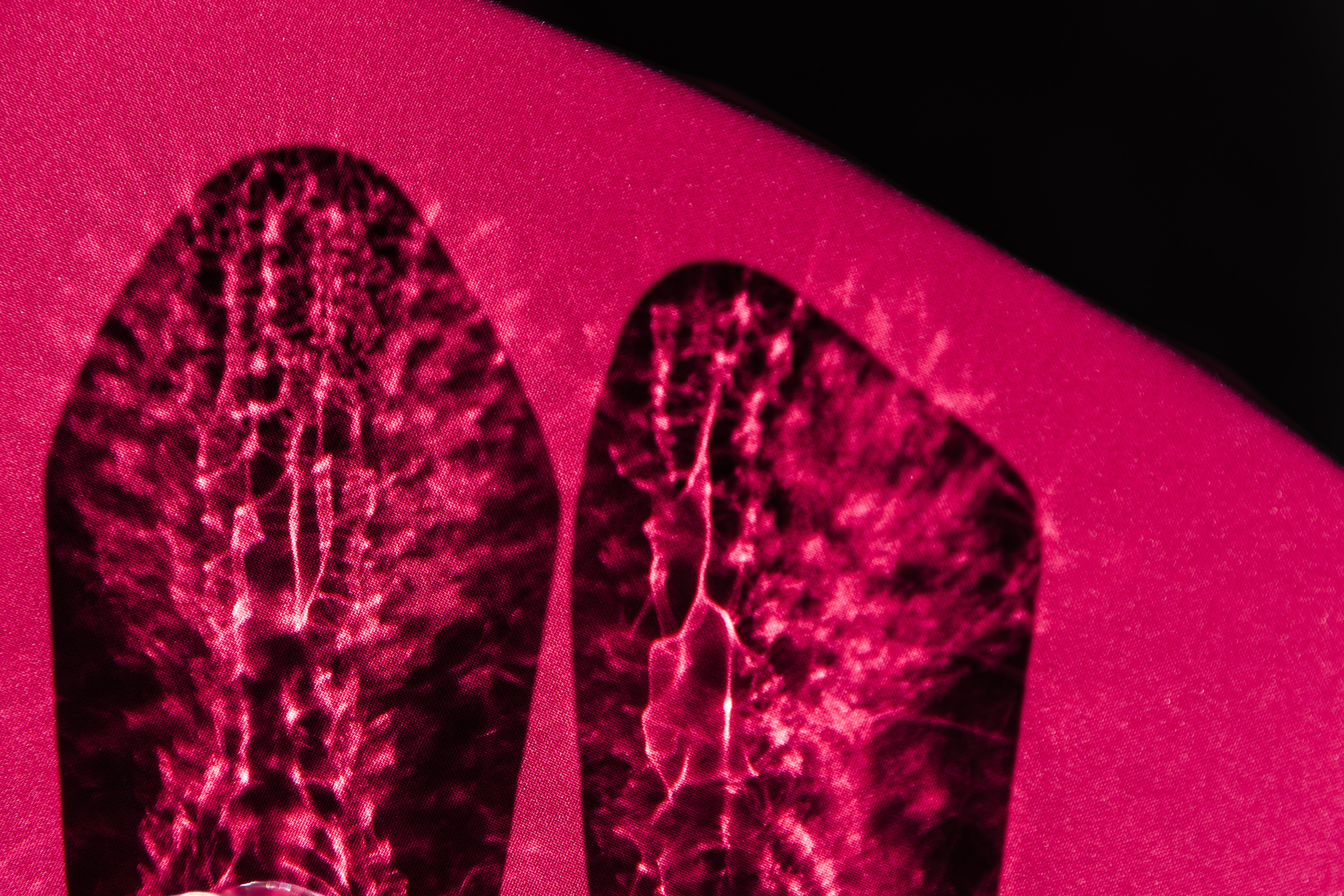 Макс и Тоня Лефкадия. Свадебный и семейный фотограф в Краснодаре Роман Моско