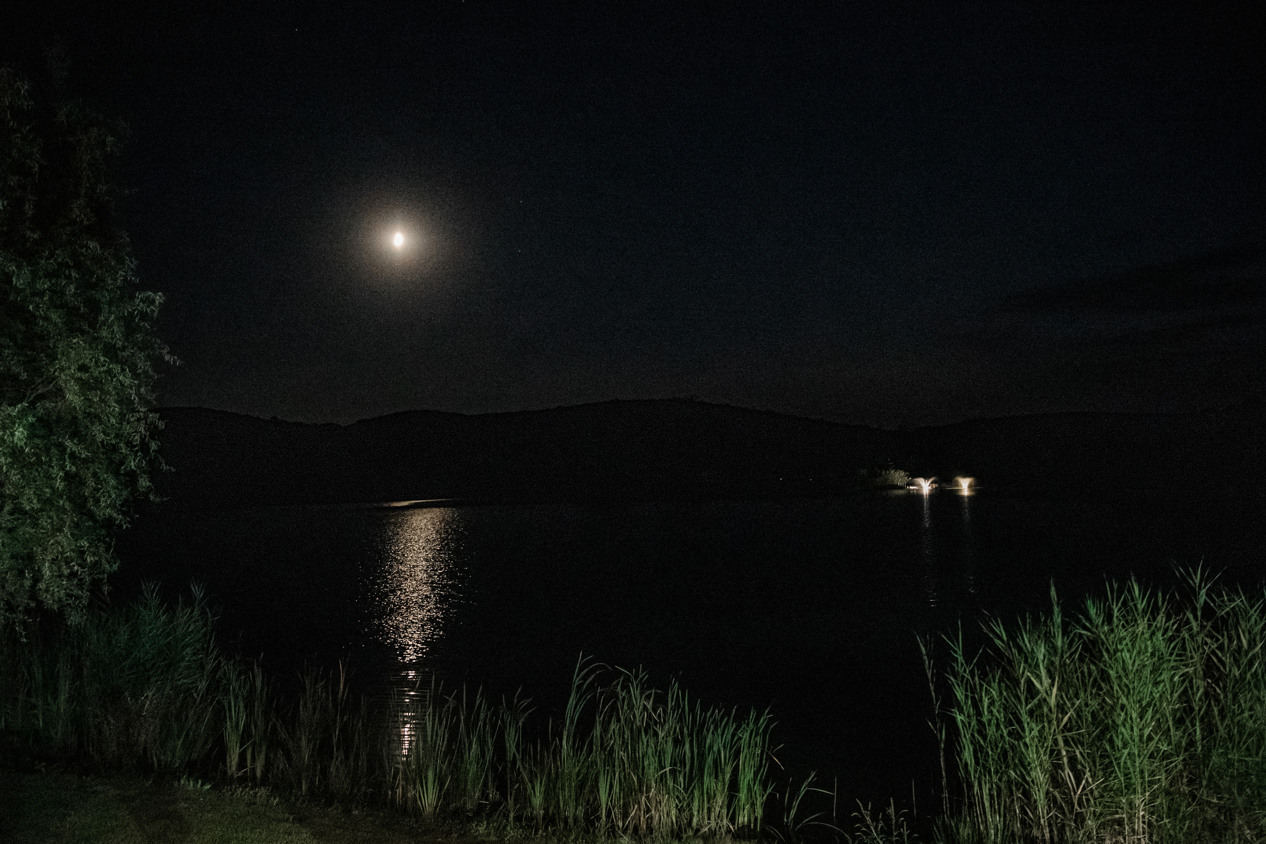 Макс и Тоня Лефкадия. Свадебный и семейный фотограф в Краснодаре Роман Моско