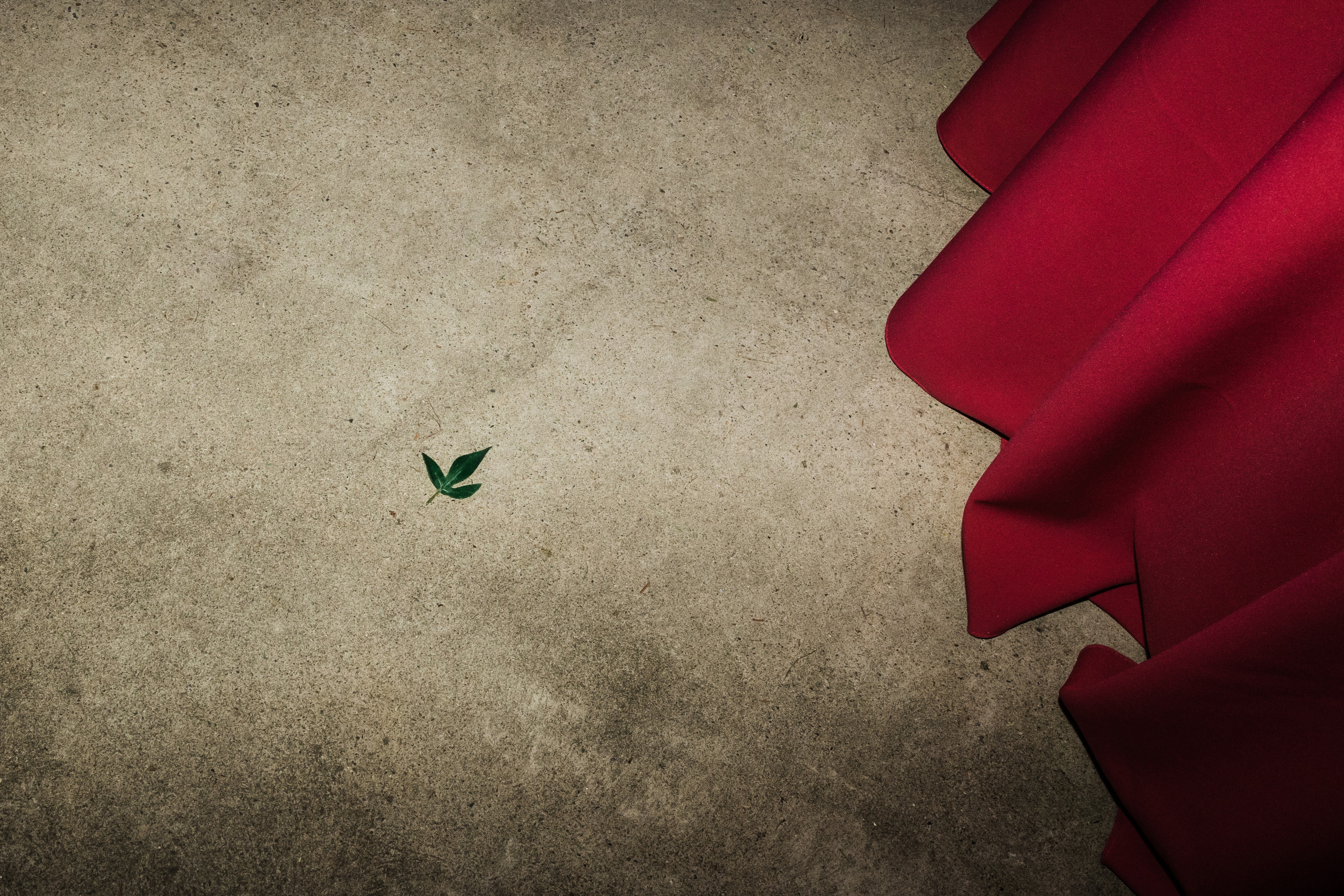 Макс и Тоня Лефкадия. Свадебный и семейный фотограф в Краснодаре Роман Моско