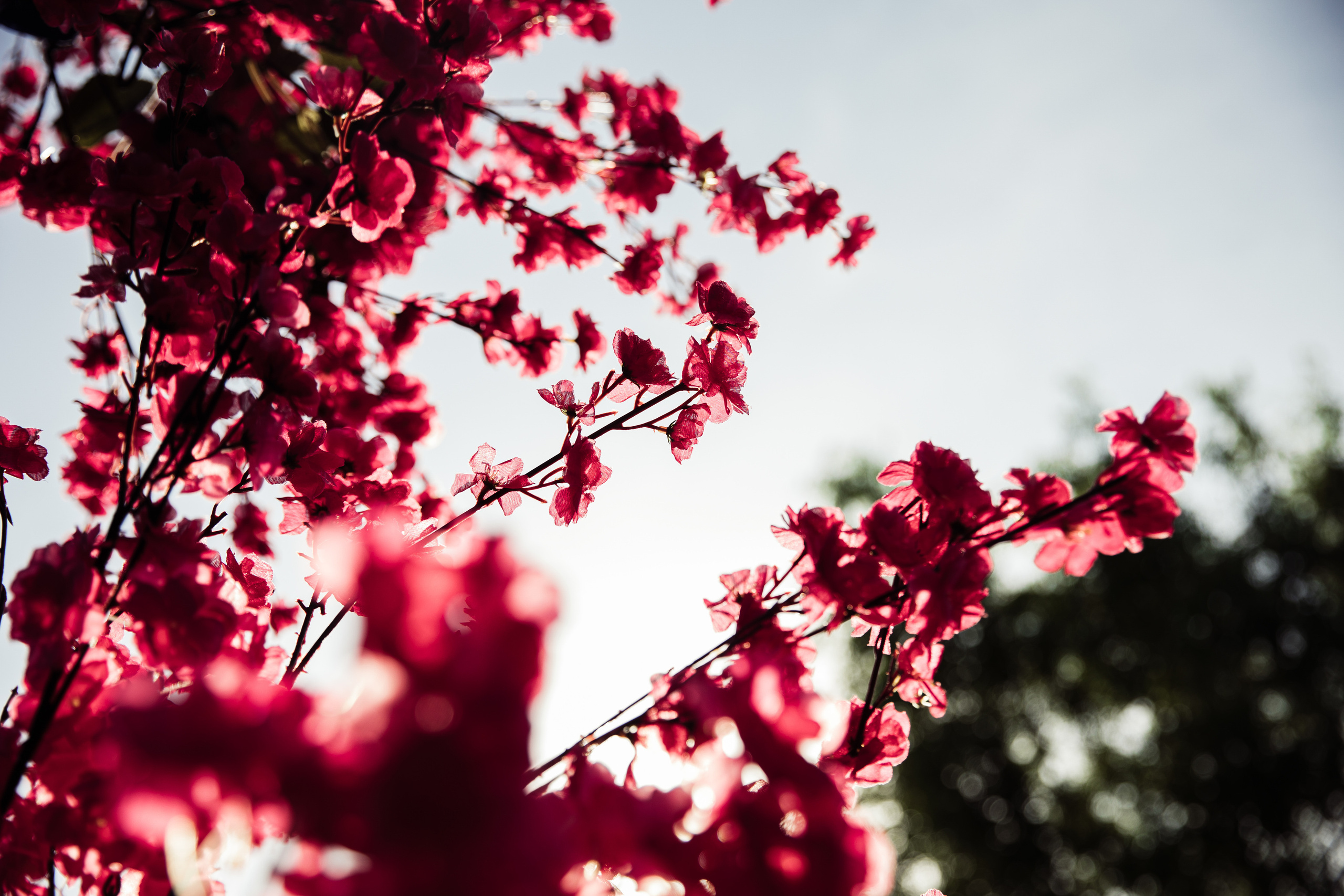 Макс и Тоня Лефкадия. Свадебный и семейный фотограф в Краснодаре Роман Моско
