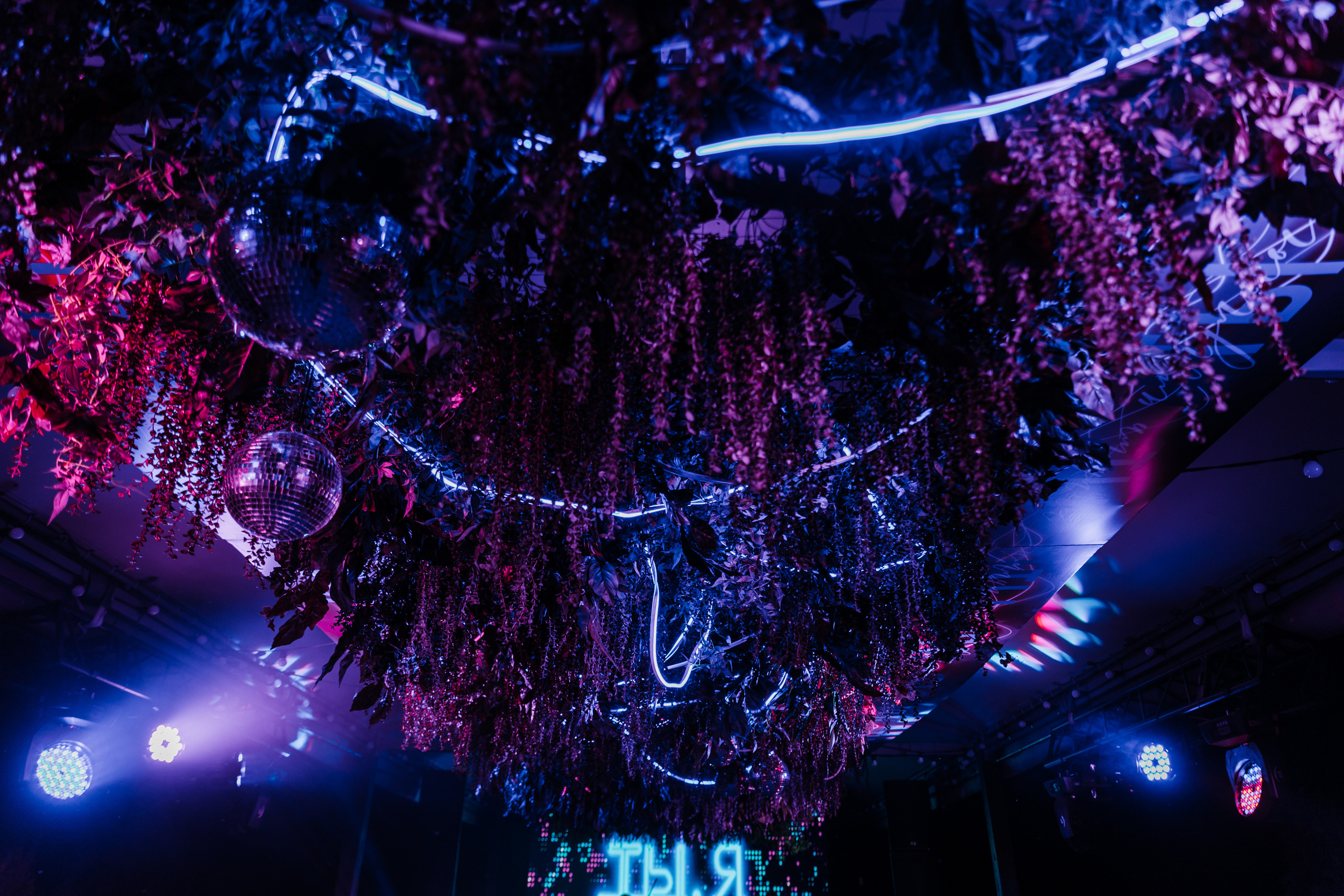 Макс и Тоня Лефкадия. Свадебный и семейный фотограф в Краснодаре Роман Моско