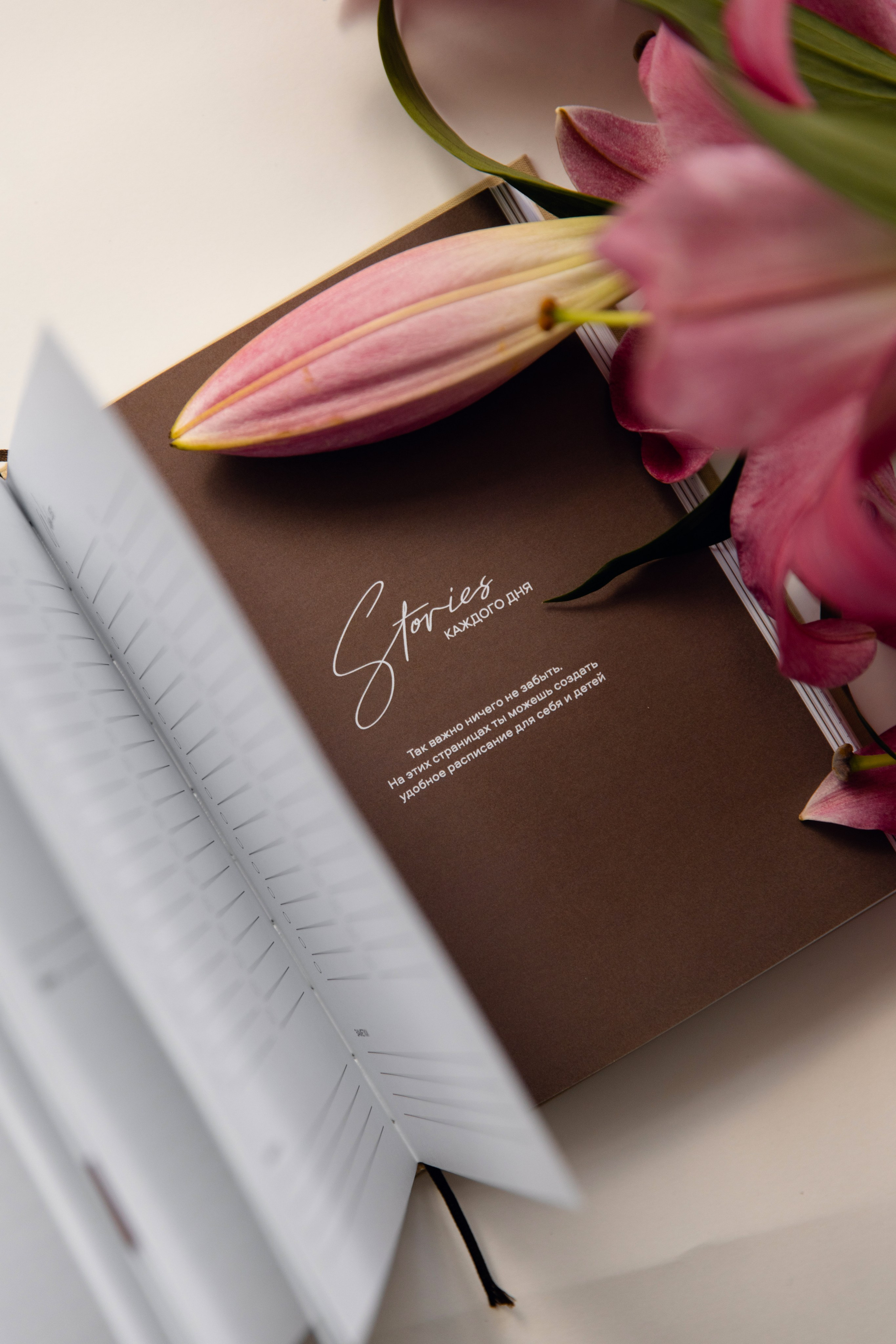 Бизнес-съемка. Фотограф Катя Трусова