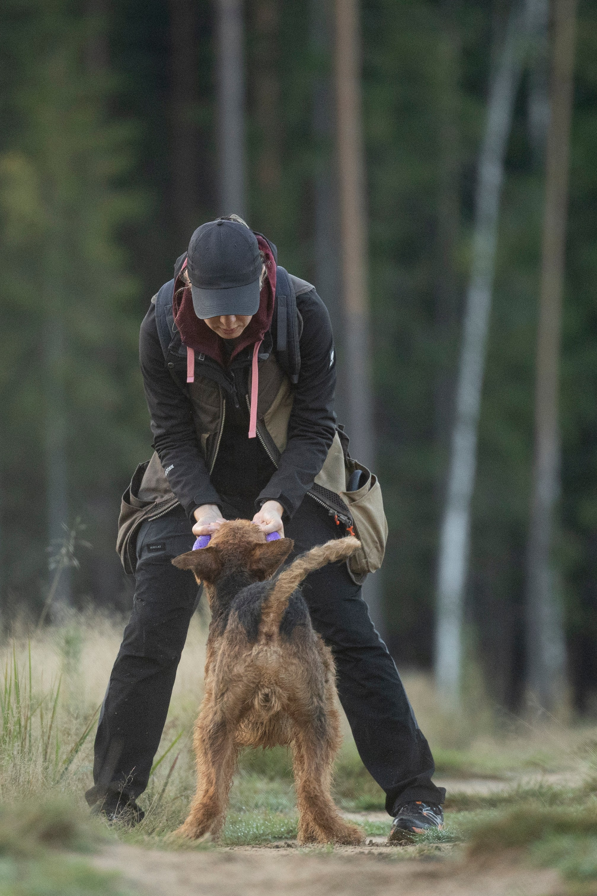 Харди. Фотограф-анималист Анна Маринич