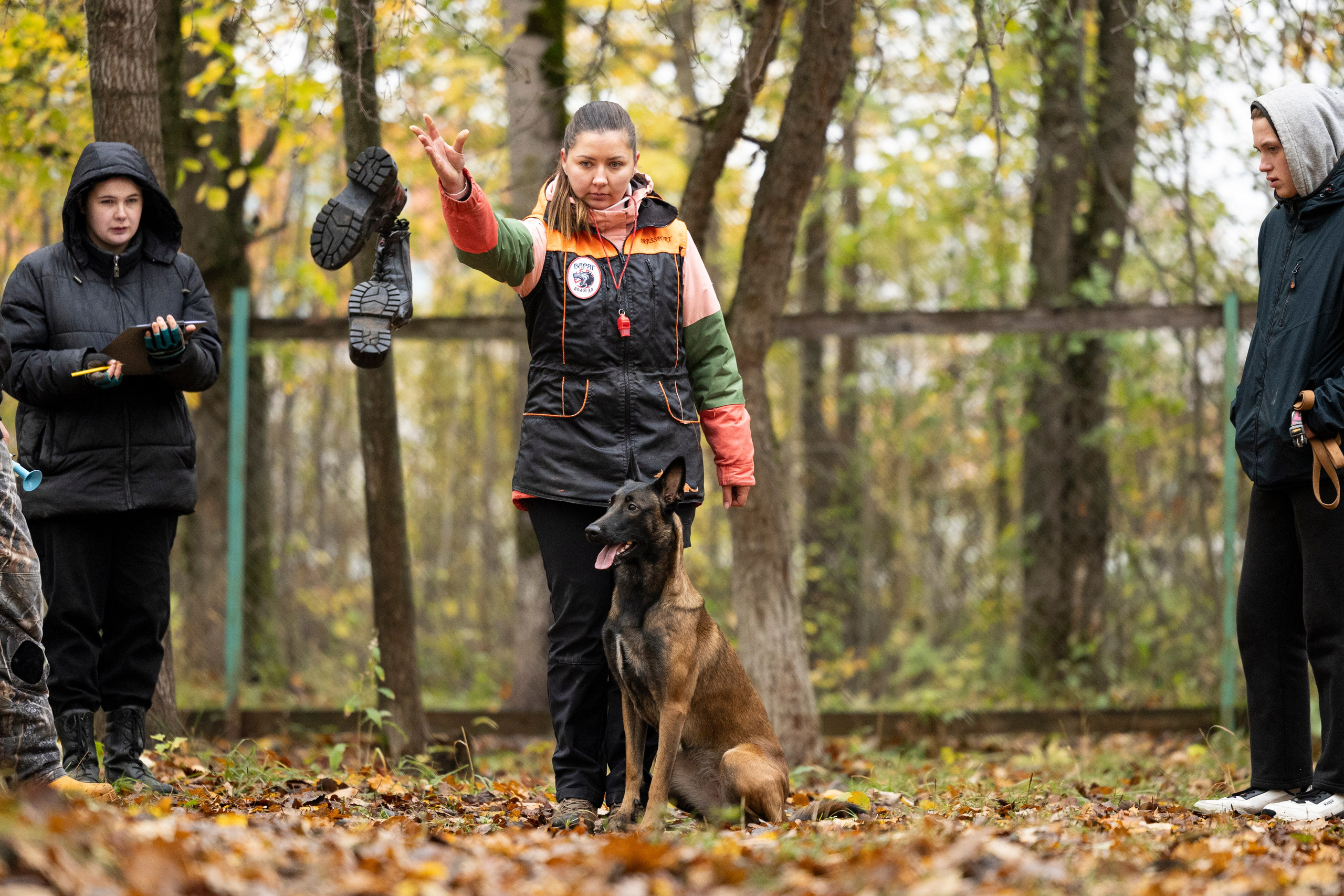 Соревнования по Мондьорингу г. Вологда. Фотограф-анималист Анна Маринич