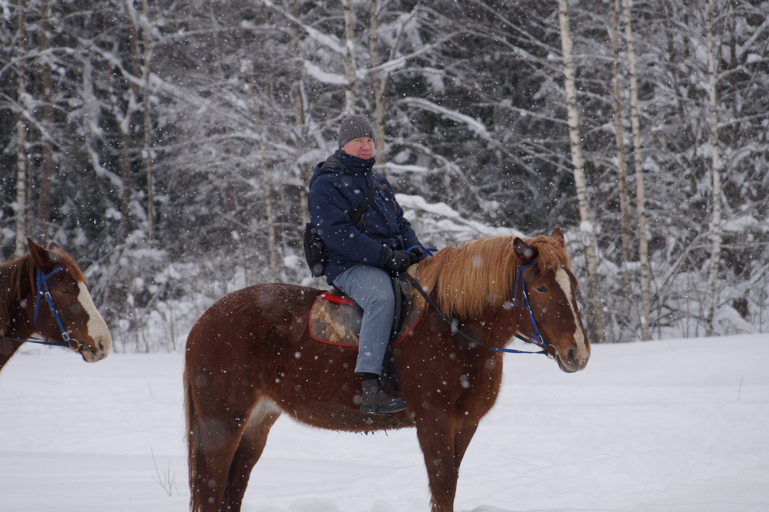 Лошадинг | 11.01.2026. Галерея Фантим