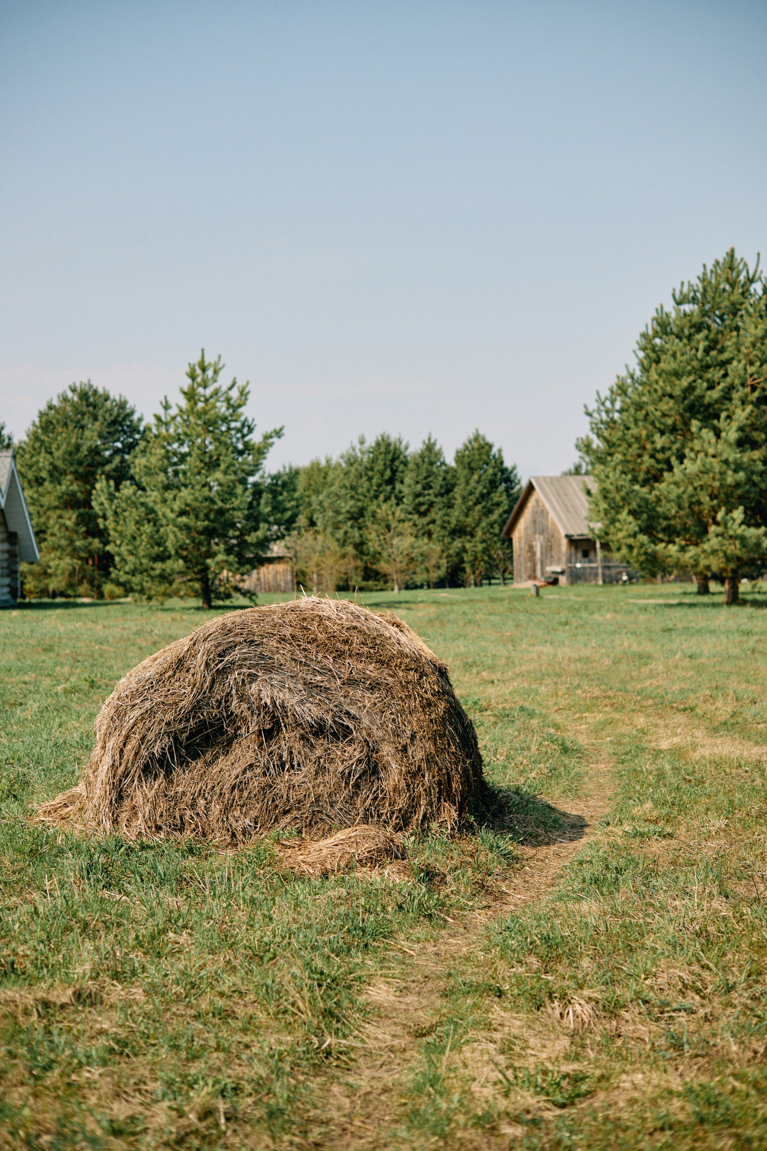 Бутик-отель Поле летом. Профессиональный Фотограф во Владимире, в Москве и в Суздале — Полина Романычева