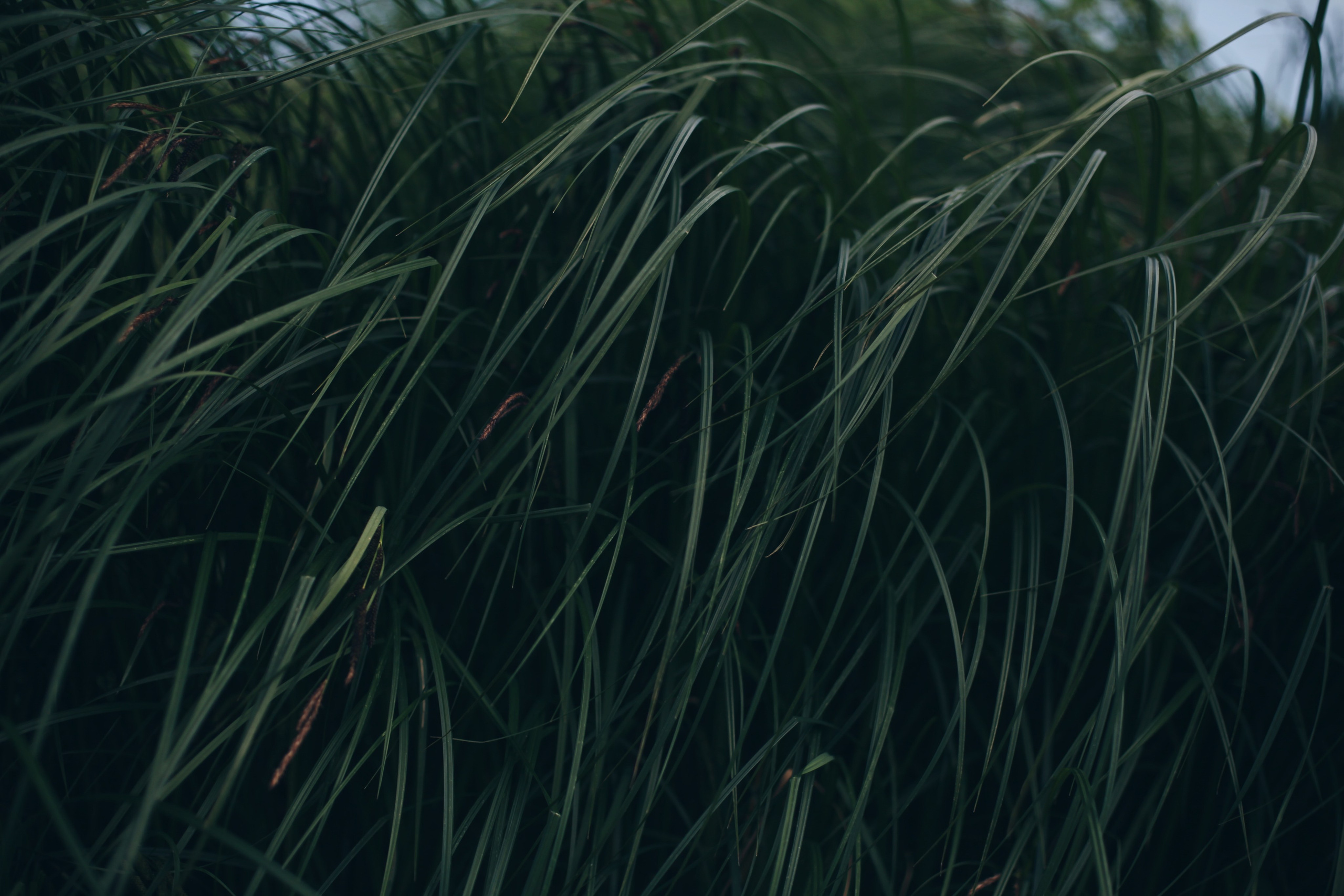 Река МИРА. Ксения Плотникова