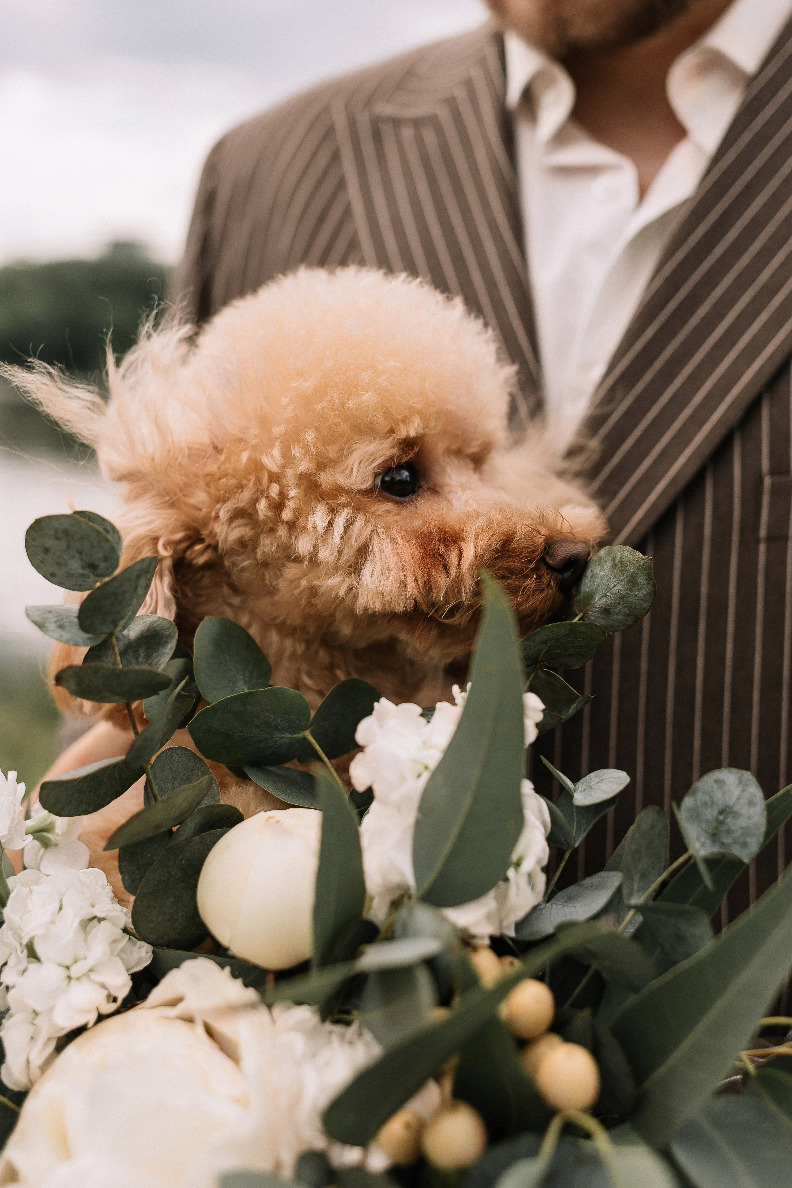 Свадебная фотосессия. Свадебный и семейный фотограф в Екатеринбурге