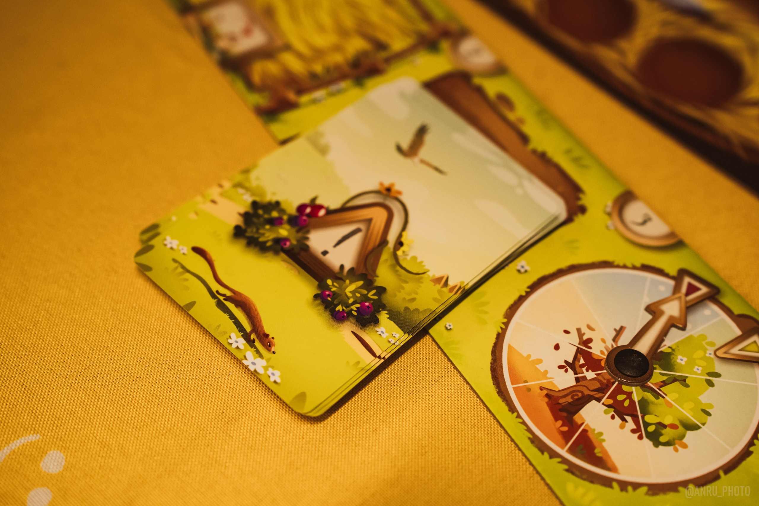 Fox Family fest. Репортажный фотограф Анастасия Рубцова