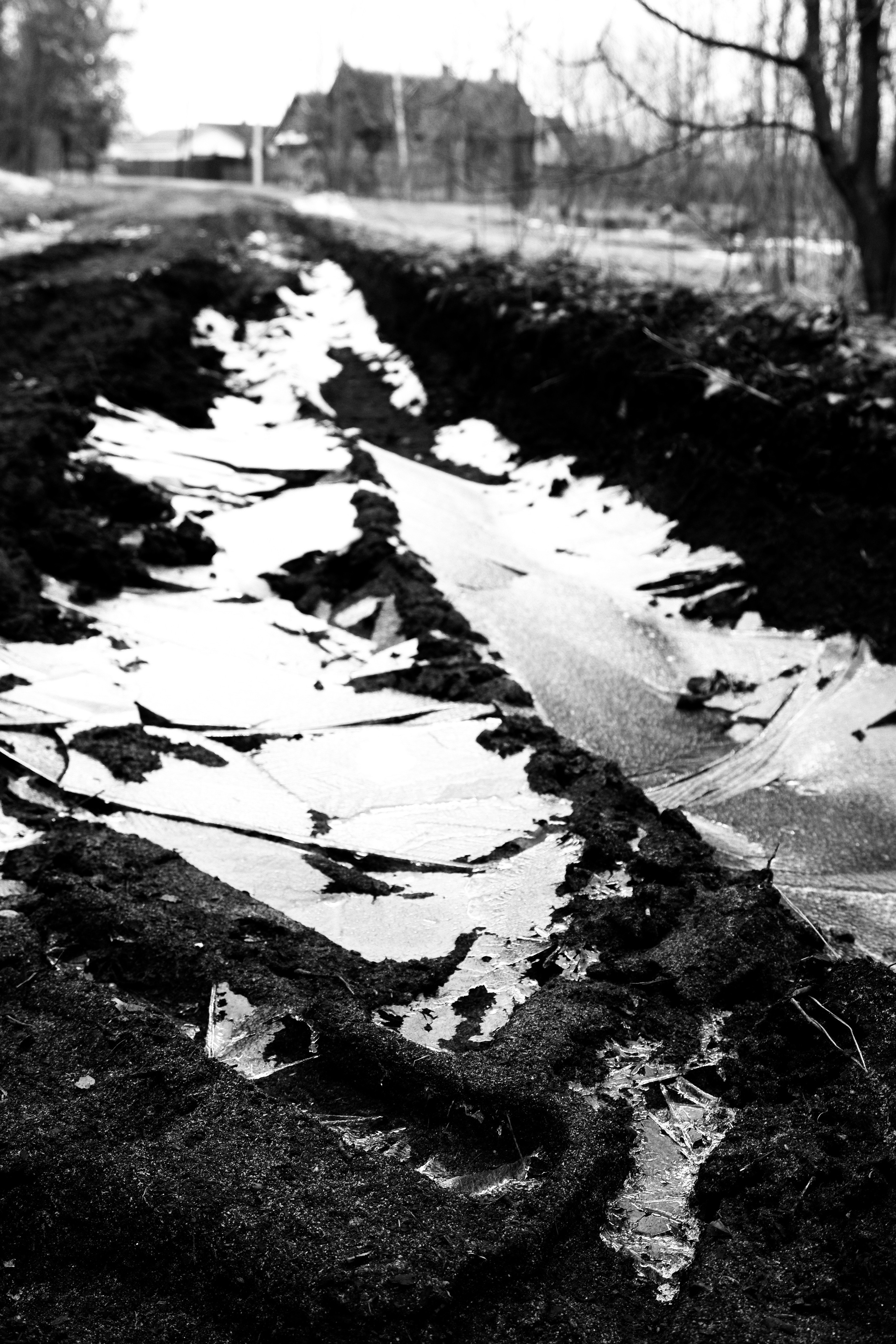 ЧБ  пейзажи (BnW landscape). Фотограф (photographer) Lischinski Vitaliy