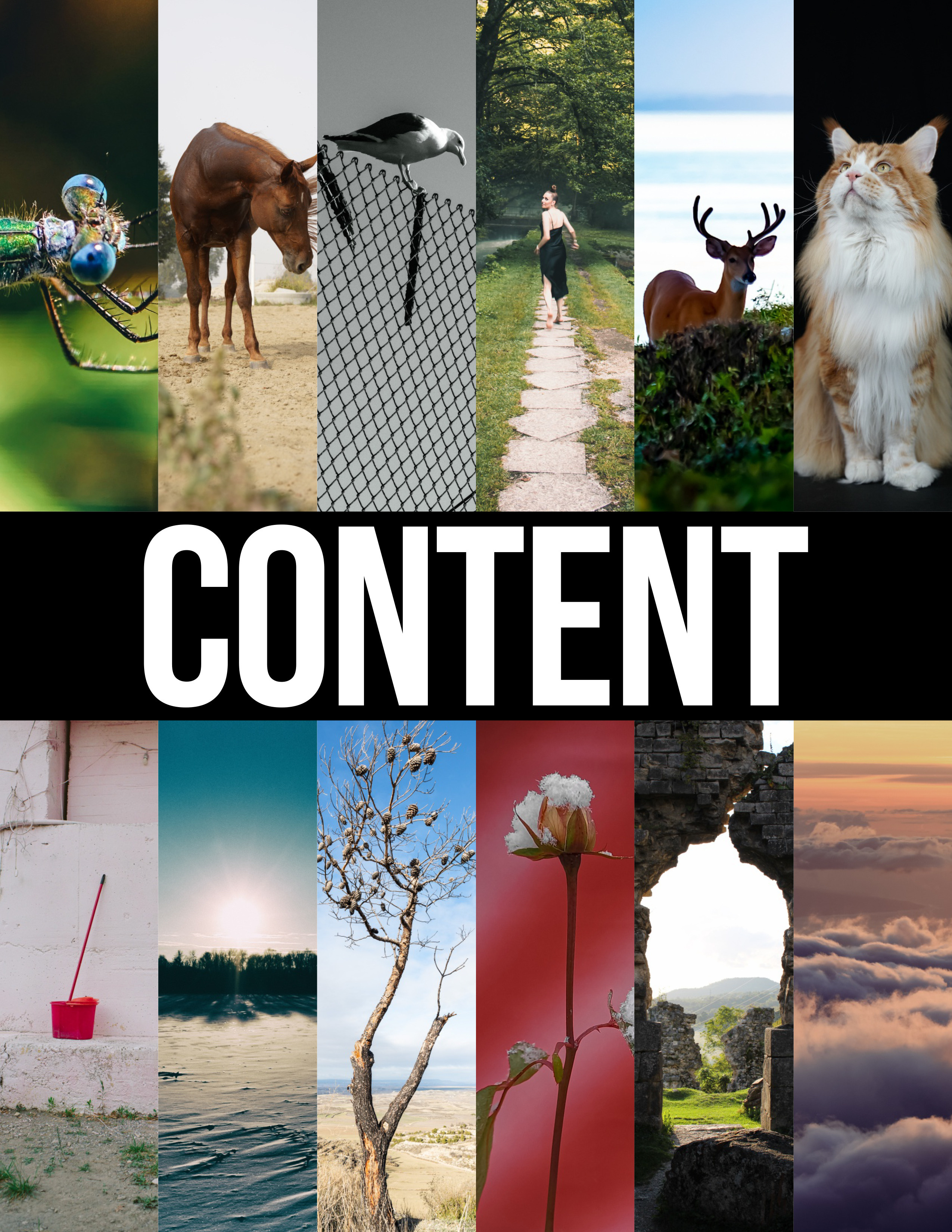 My publications in printed publications, magazines. Фотограф (photographer) Lischinski Vitaliy