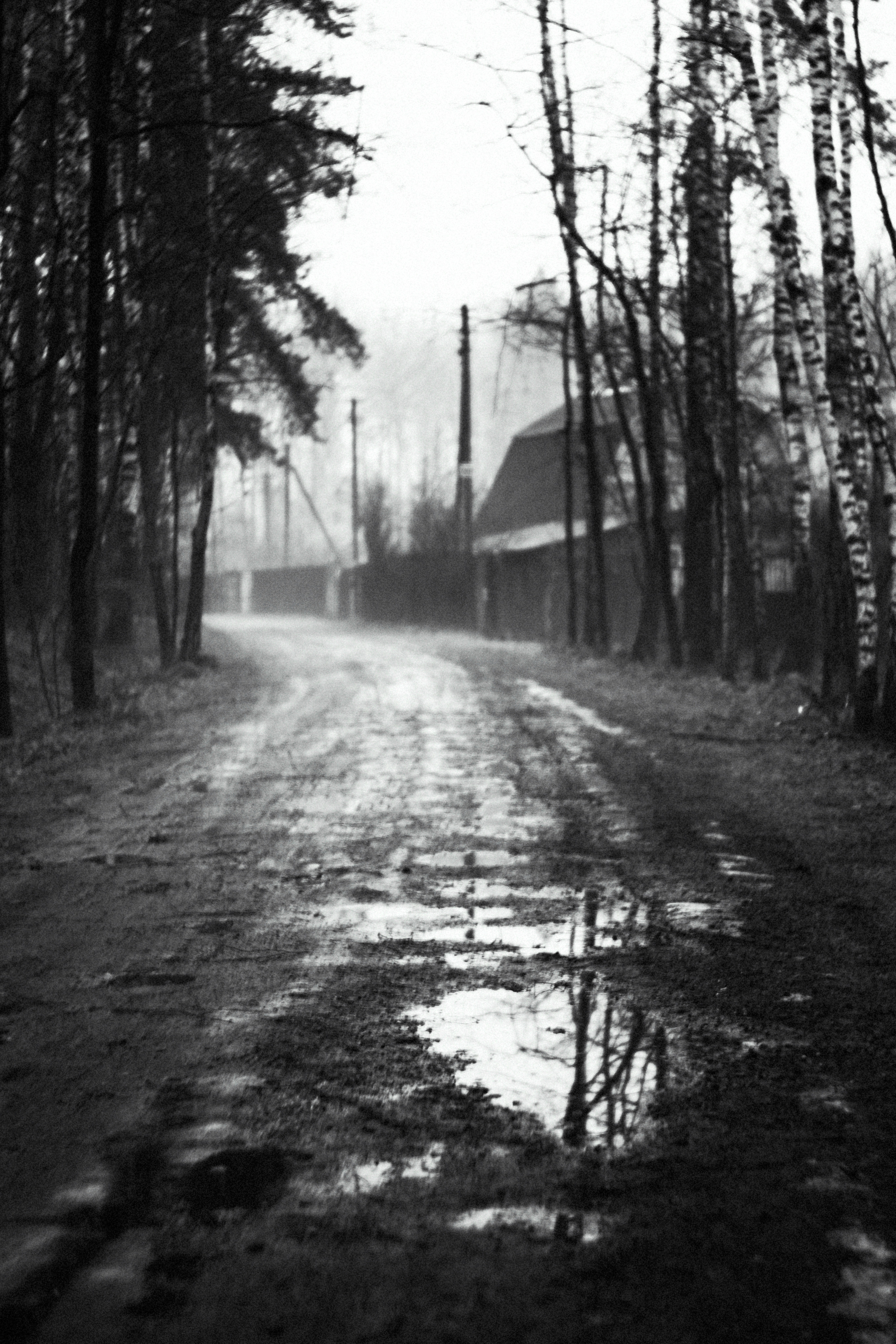 ЧБ  пейзажи (BnW landscape). Фотограф (photographer) Lischinski Vitaliy
