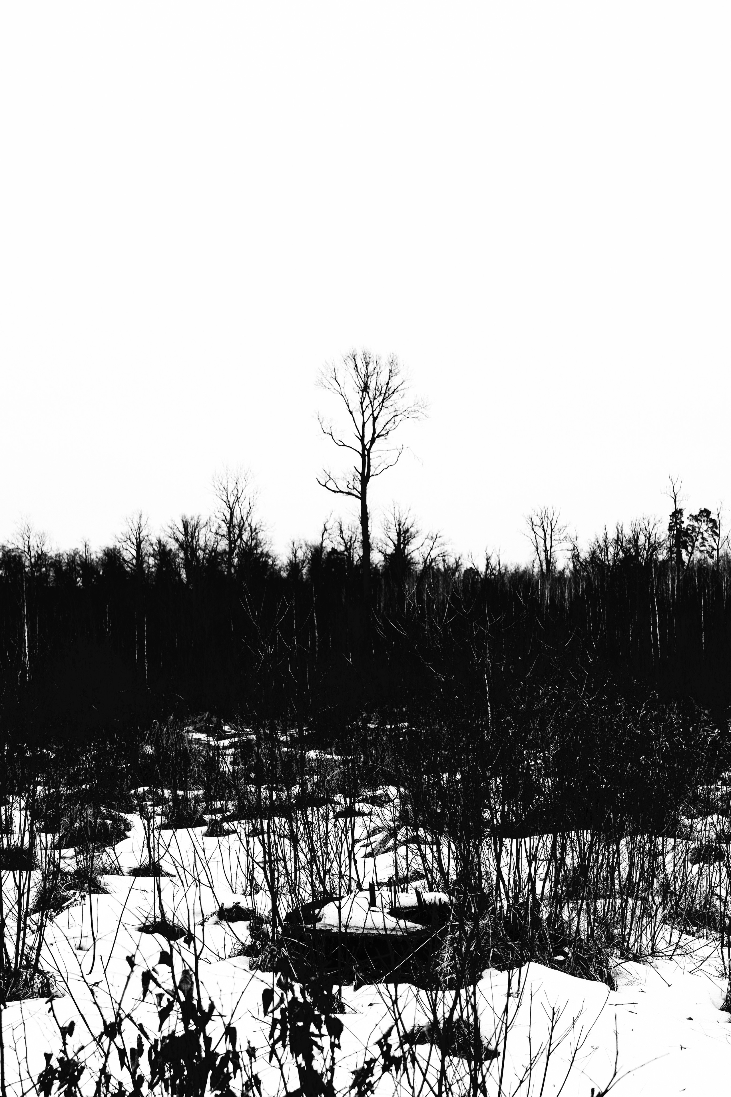 ЧБ  пейзажи (BnW landscape). Фотограф (photographer) Lischinski Vitaliy