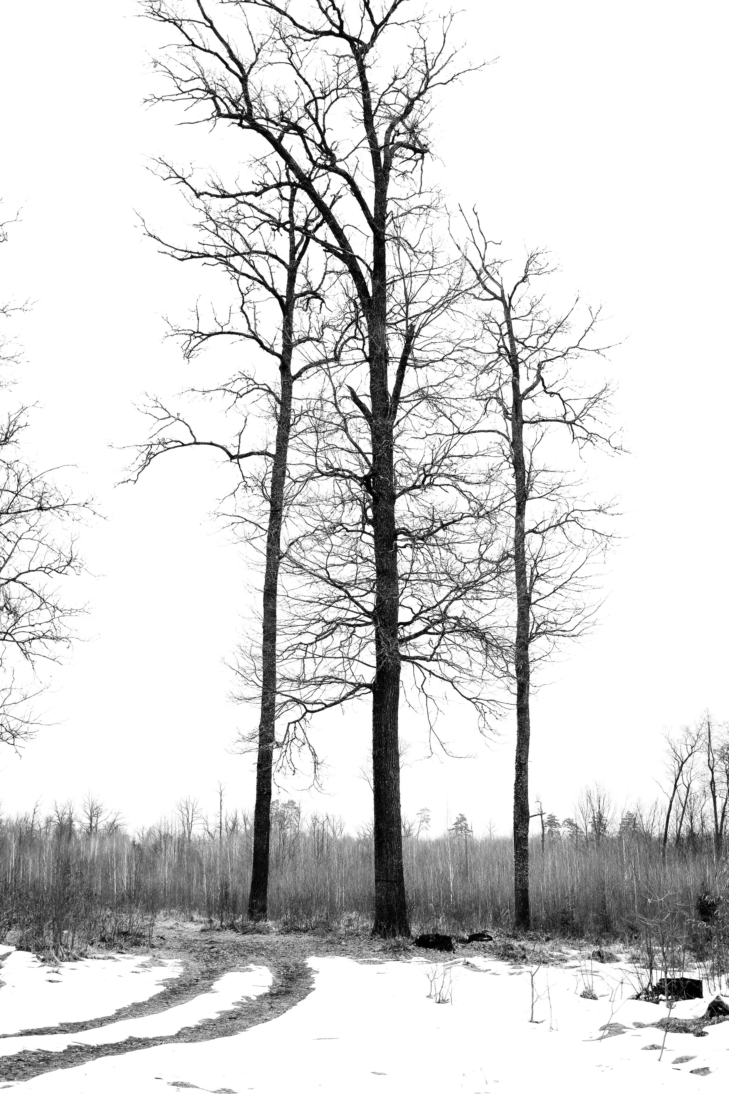 Surrealism, minimalism photo. Фотограф (photographer) Lischinski Vitaliy