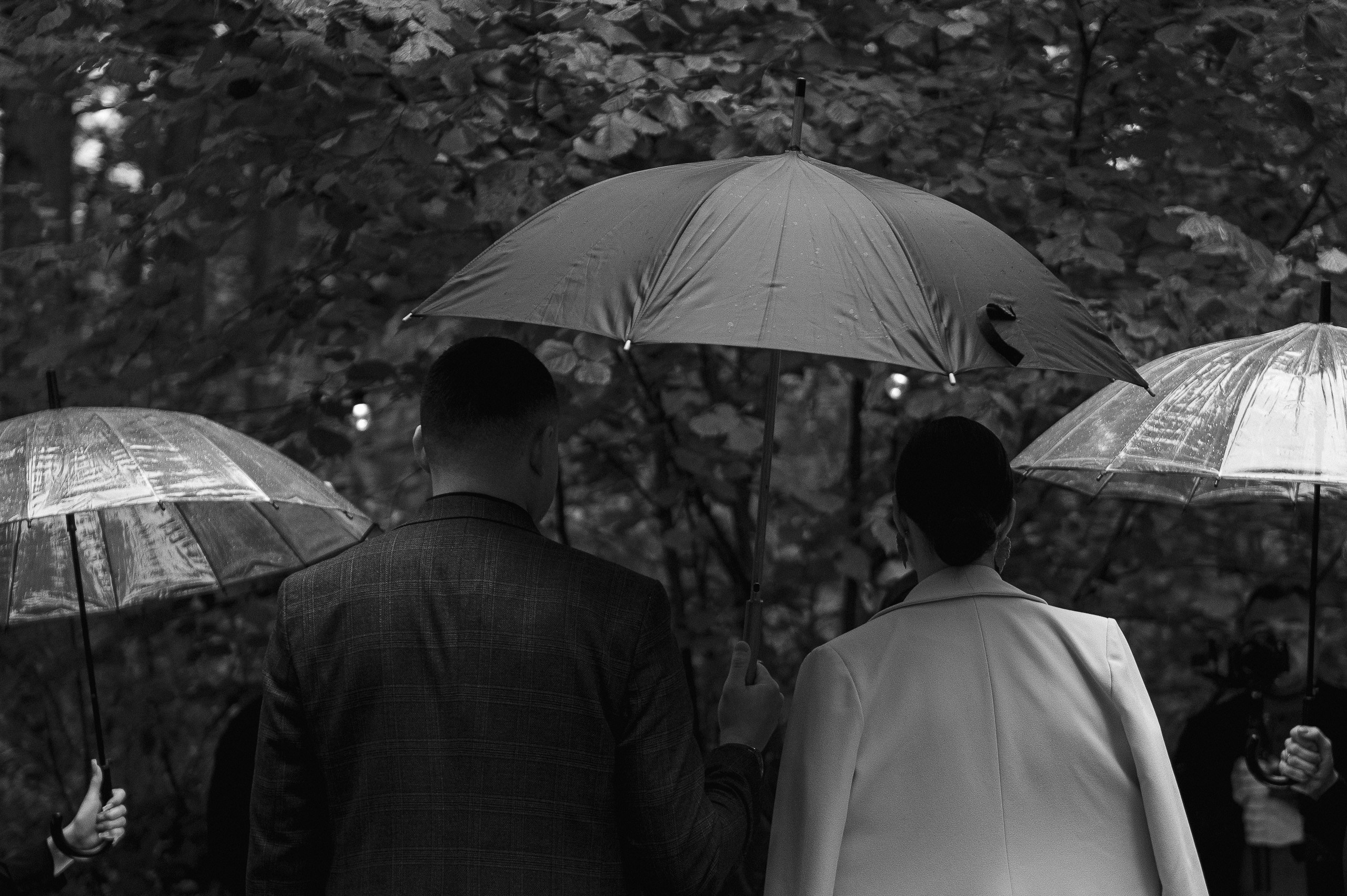 Due to love Артём и Владислава. Афина Ефимова. Свадебный фотограф Москва