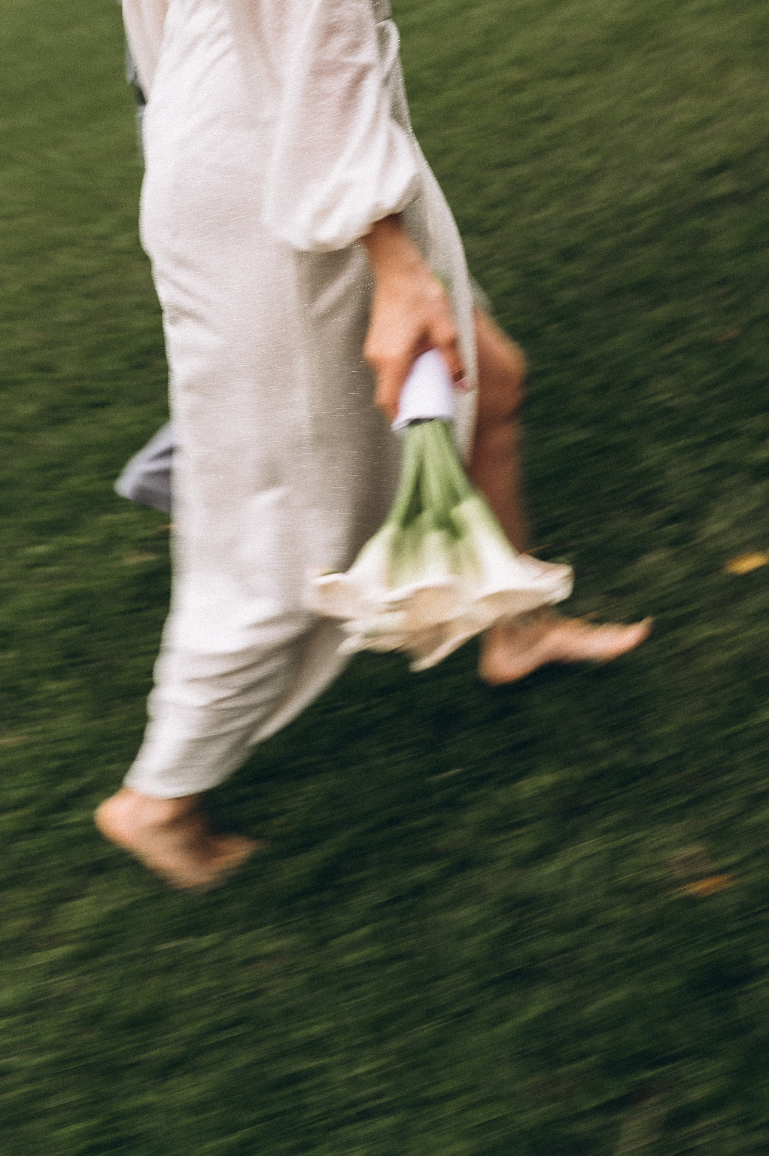 Загс+Оранжерея (камерная свадьба). Фотограф ПИТЕР СПБ Надежда Баранова