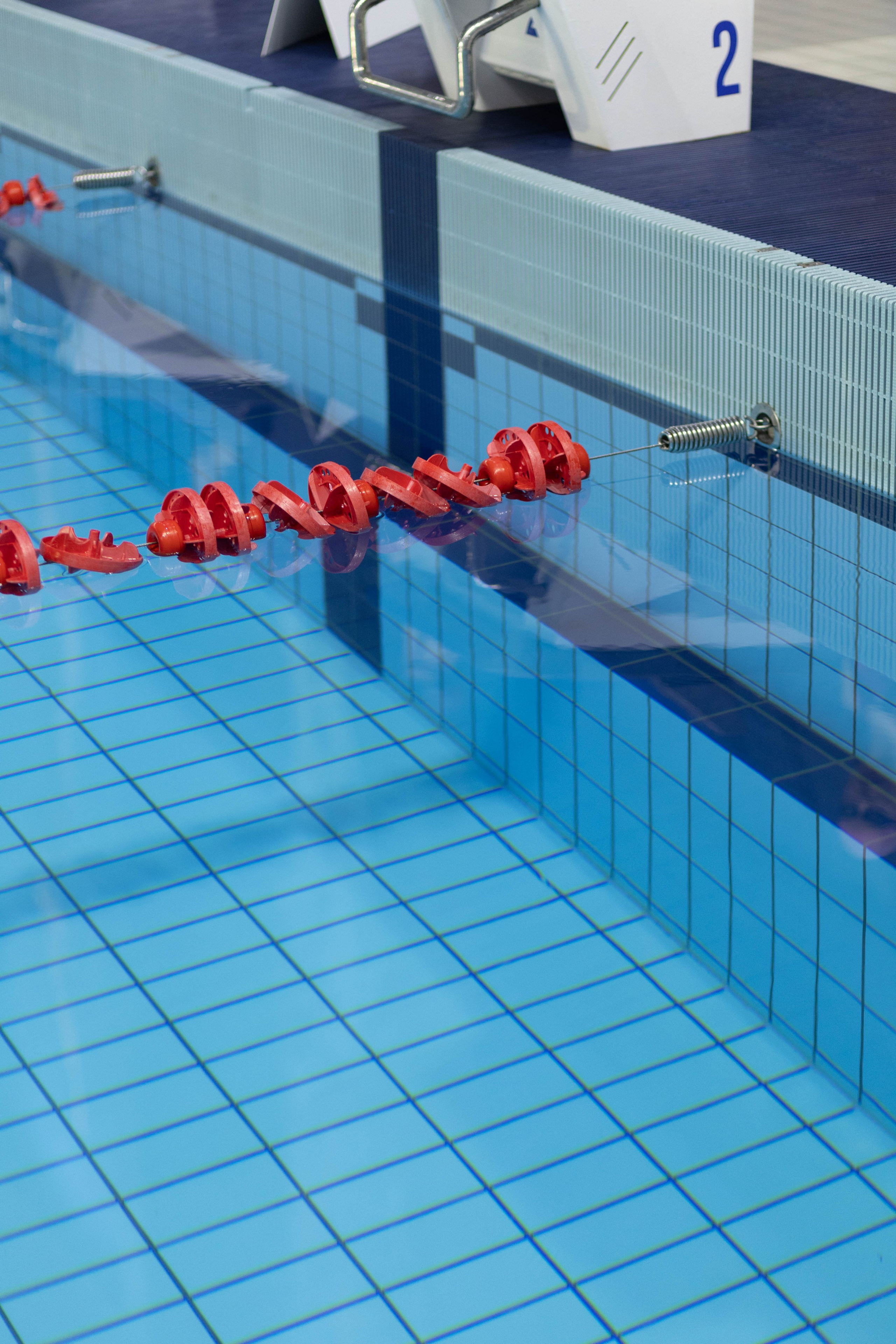 Гонка ракет. Александра Мельниченко/ Бегающий фотограф