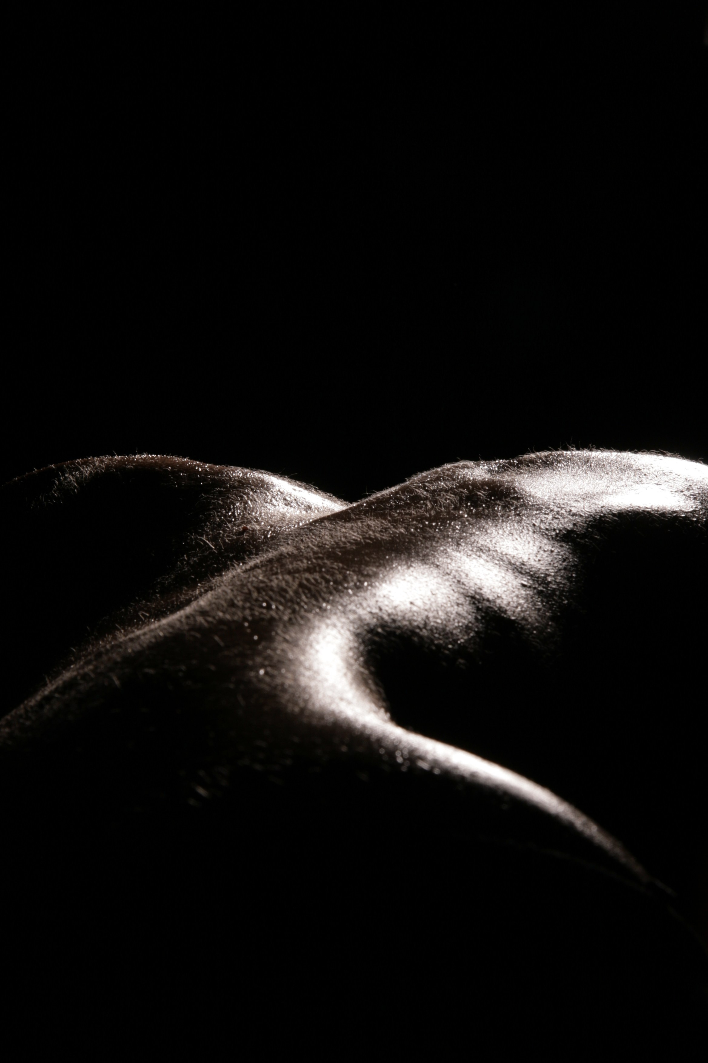 Детали. Lynxy.ru