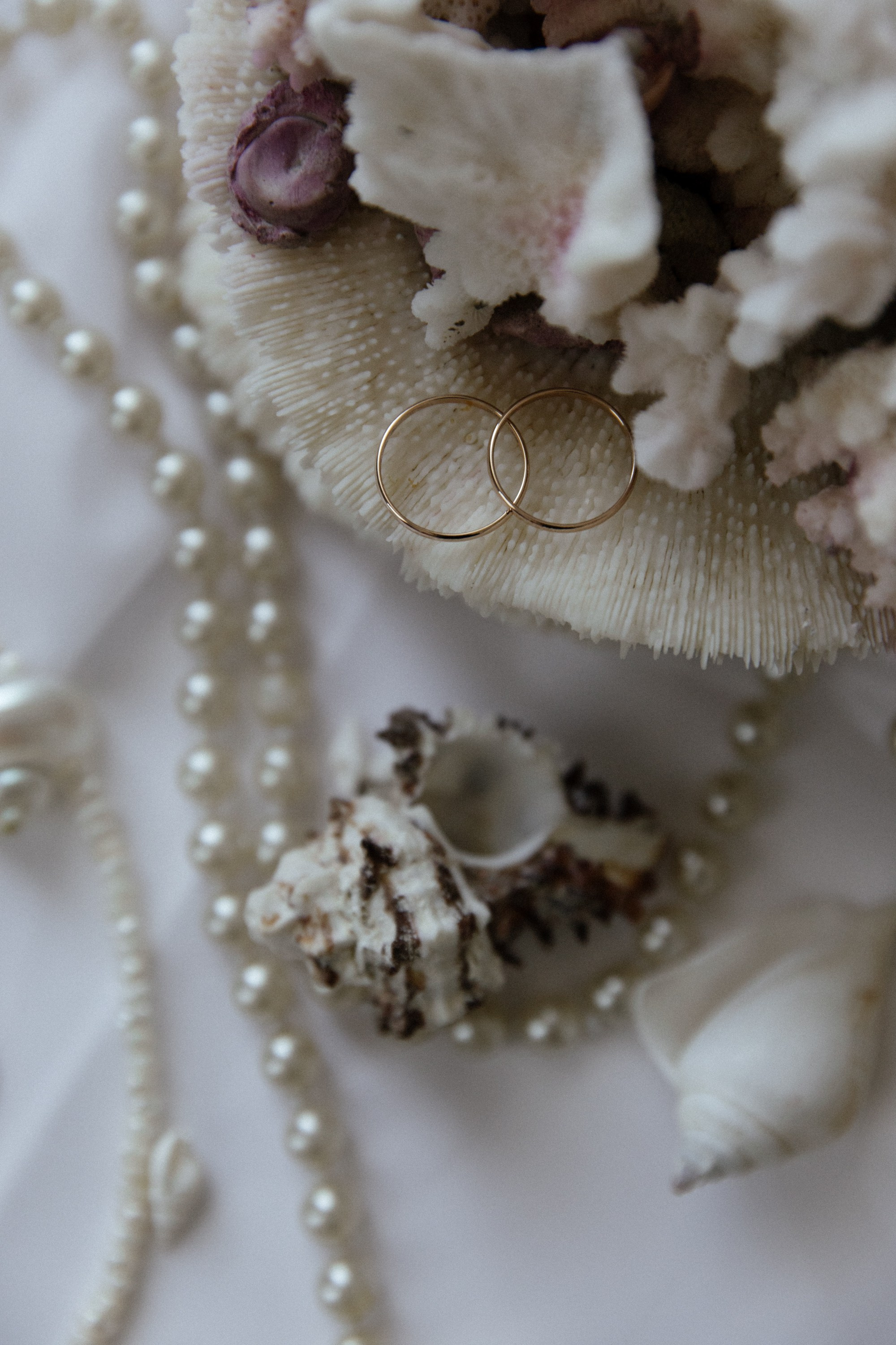 Артем, Алина и Питер. Фотограф Сергиев Посад Москва Хованская Екатерина