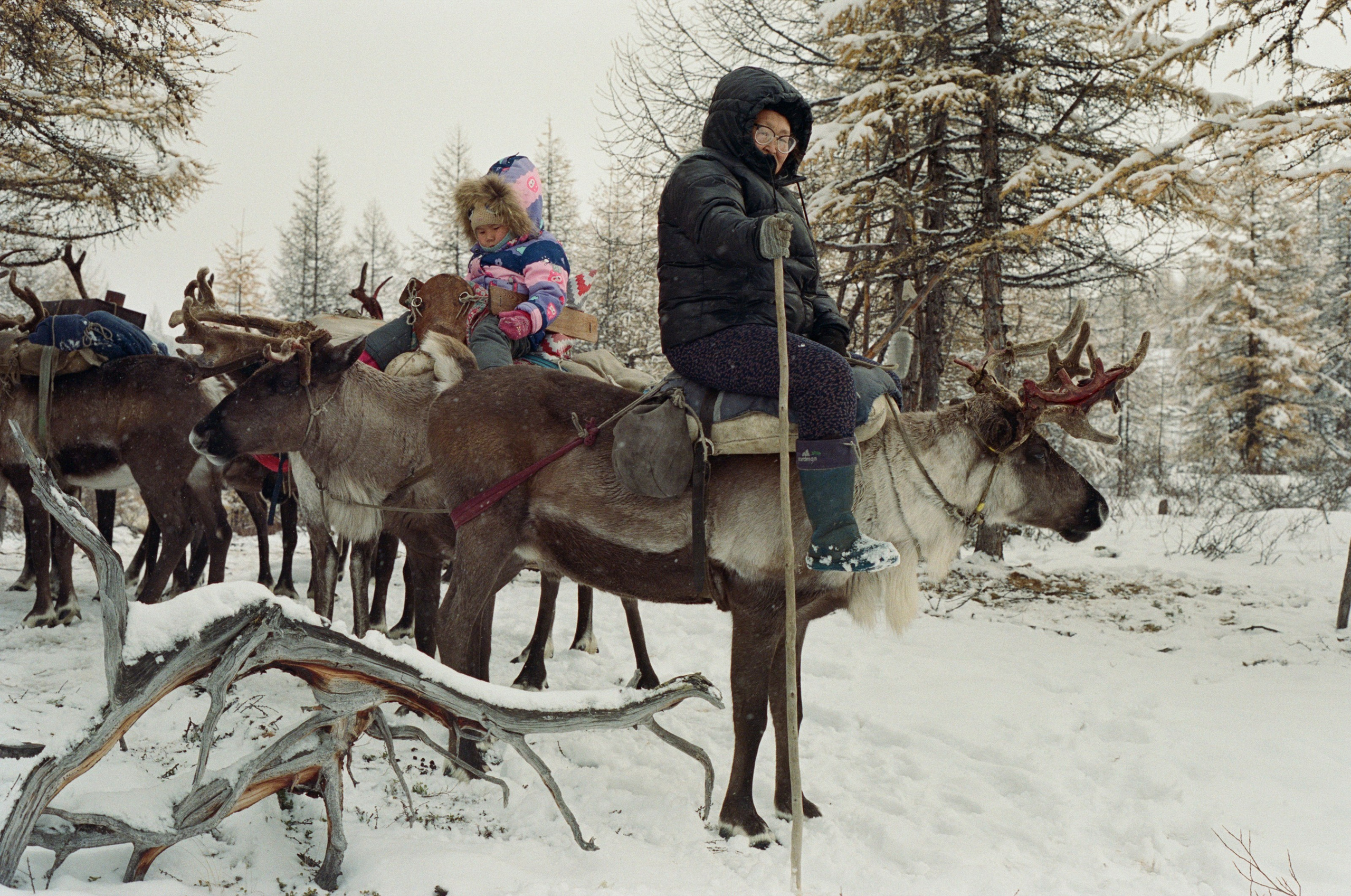 Не забудь накормить озеро. Natalya Madilyan
