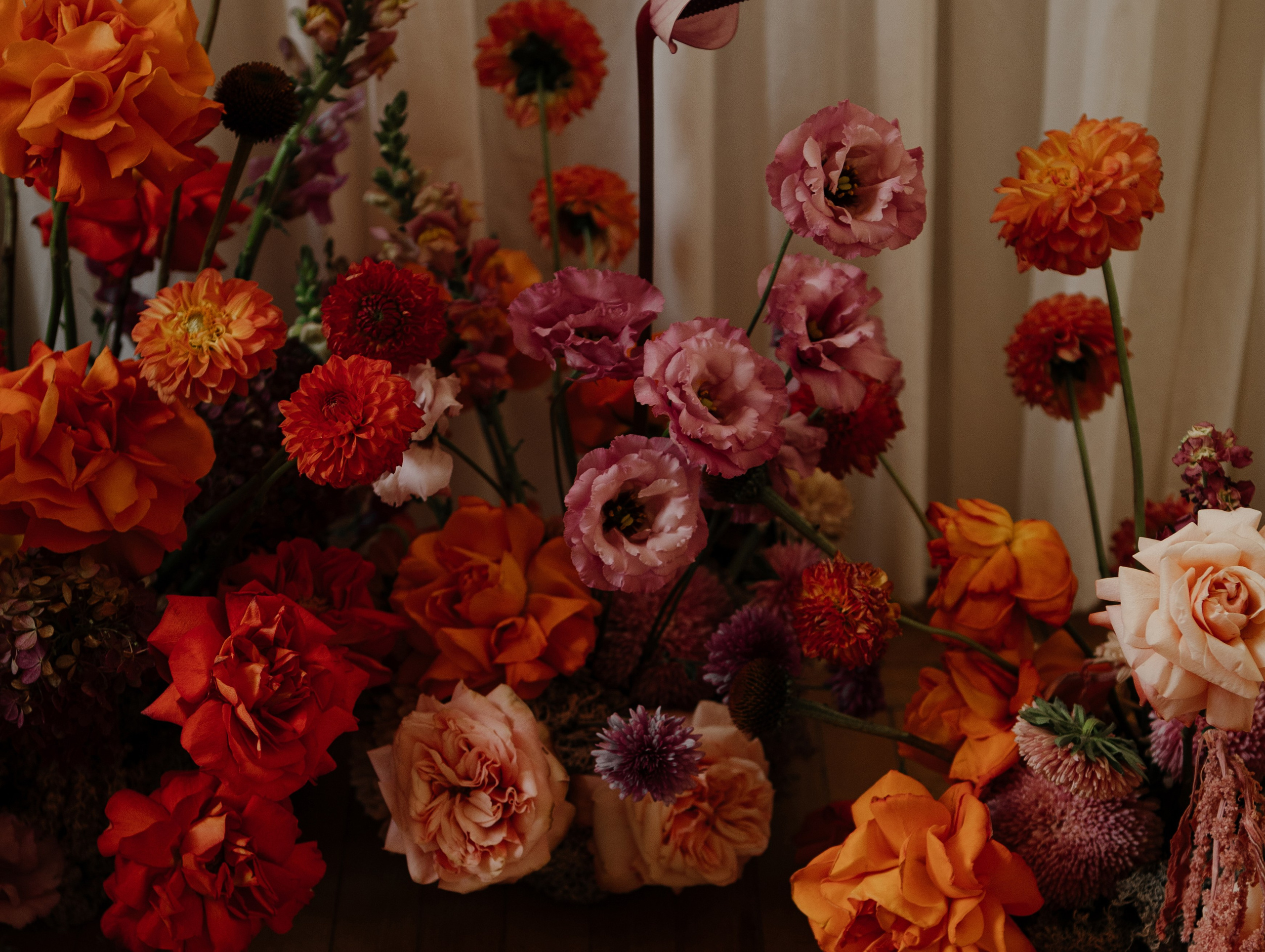 Свадьба Даниила и Ольги. Фотограф Кольчугино/Владимир/Москва Елизавета Иода