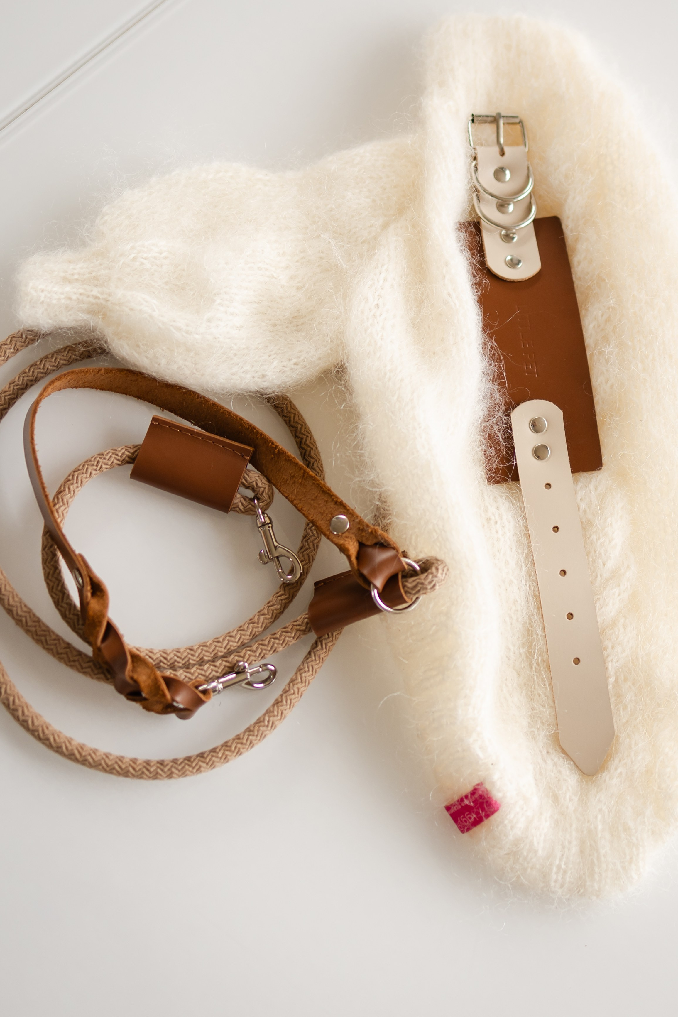 Прогулки. Профессиональный питомник левреток РКФ/FCI ASTI SAPPHIRE 💎 Сочи|Санкт-Петербург