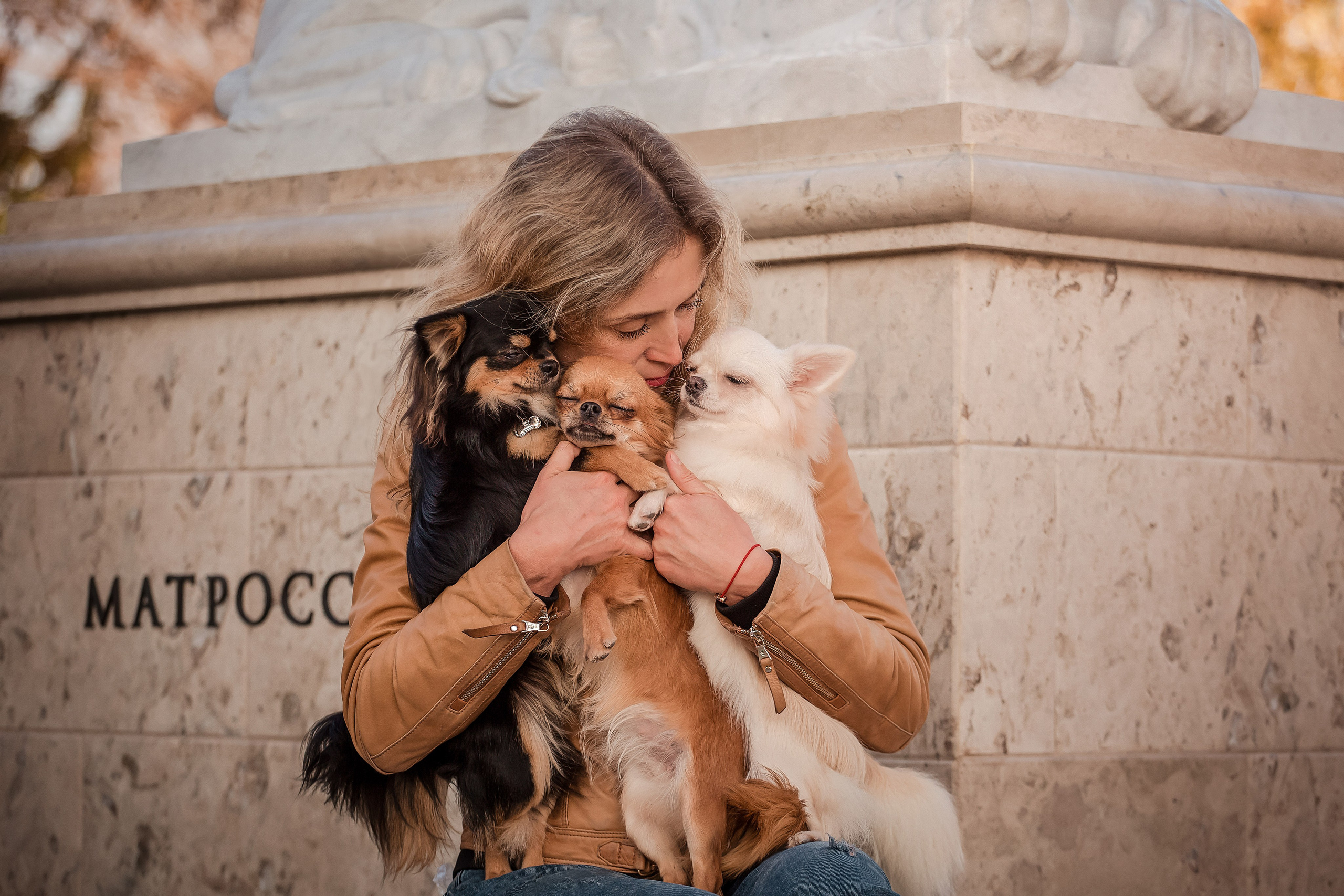 Чихуахуа в Крыму. Фотограф-анималист в Краснодаре Маша Мельникова