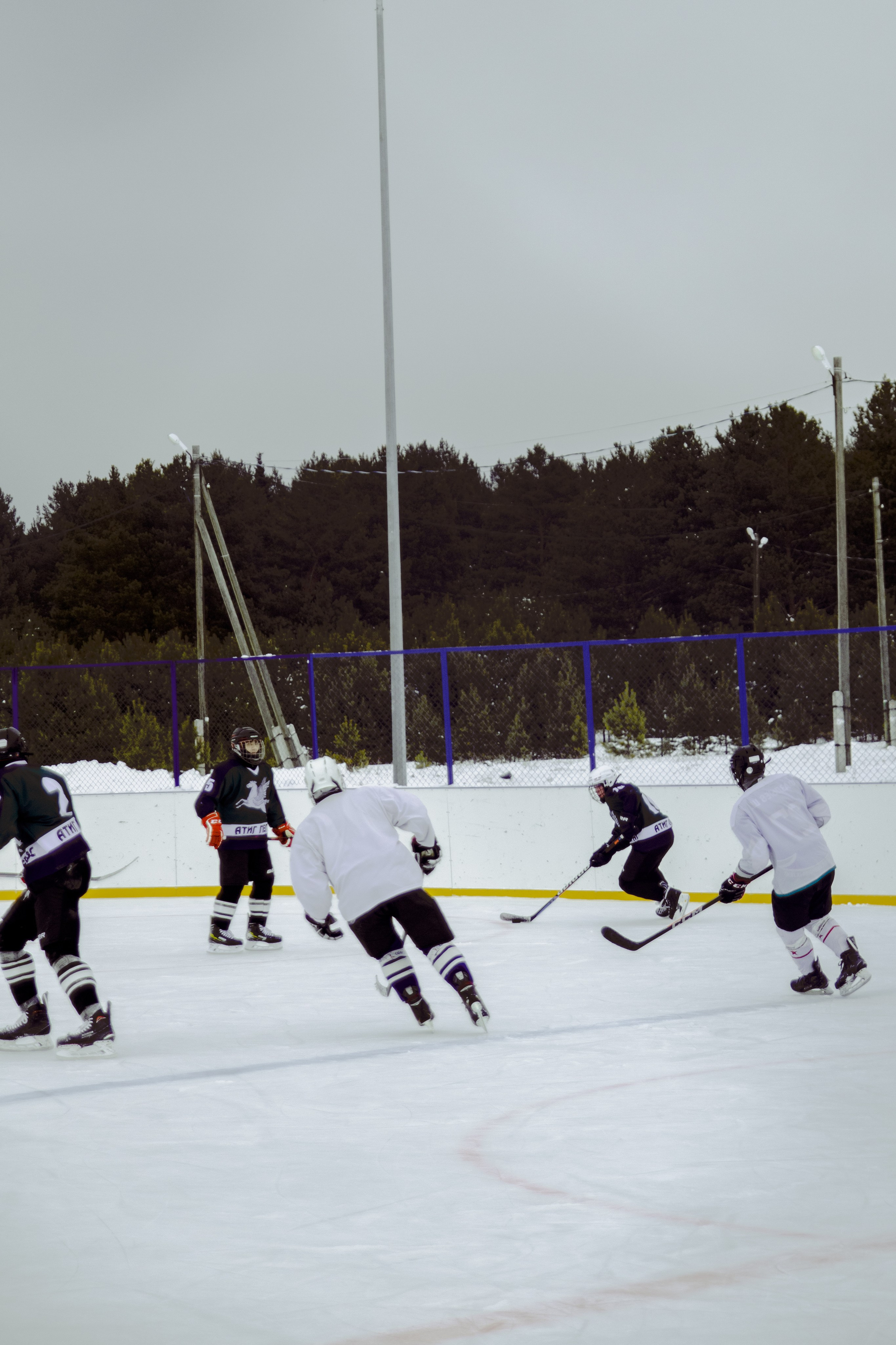 Хоккей 29.12.2024